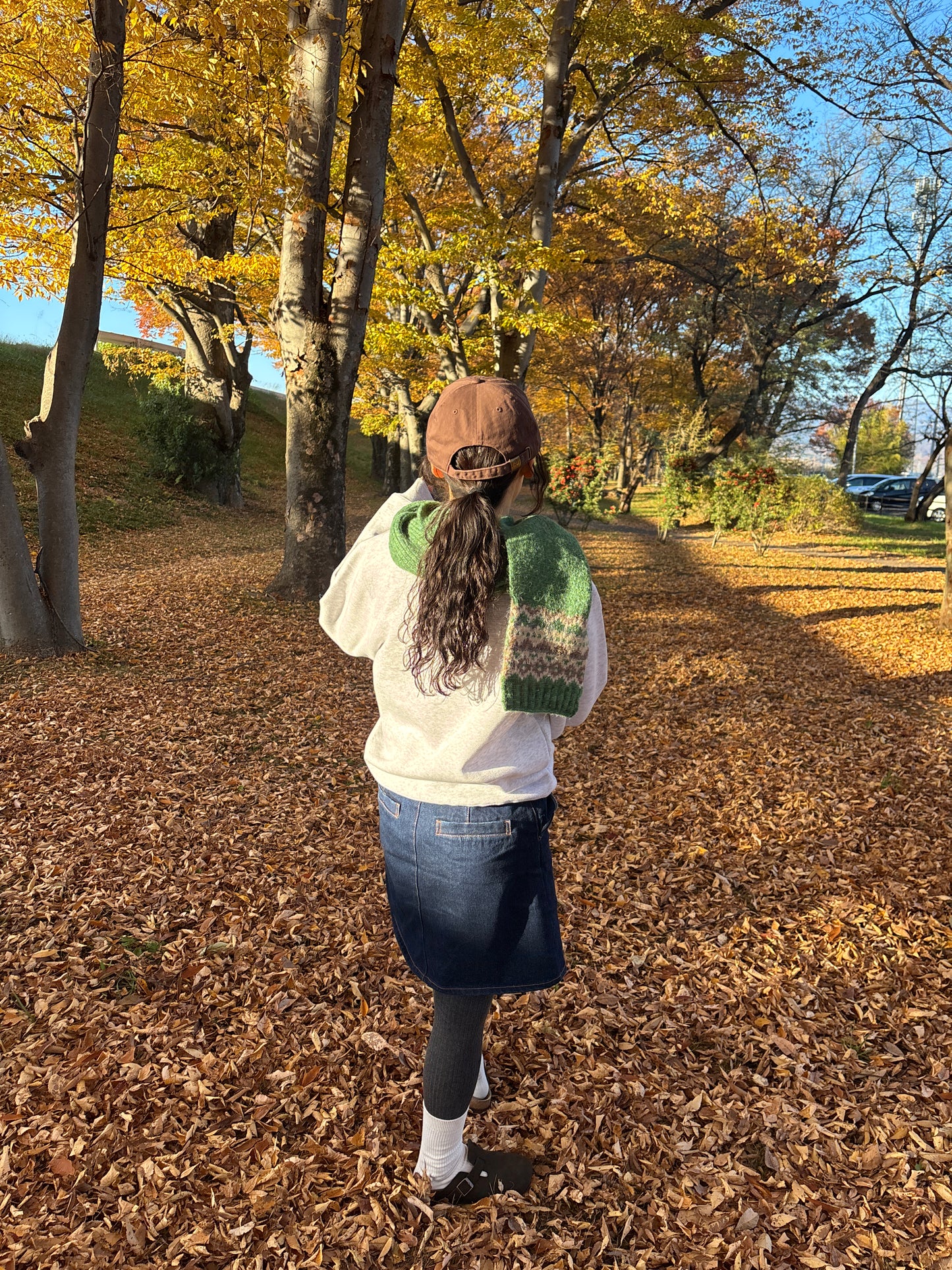 ノルディックマフラー DPB84267