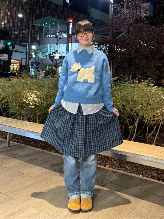 Aラインチェックスカート DPA43682