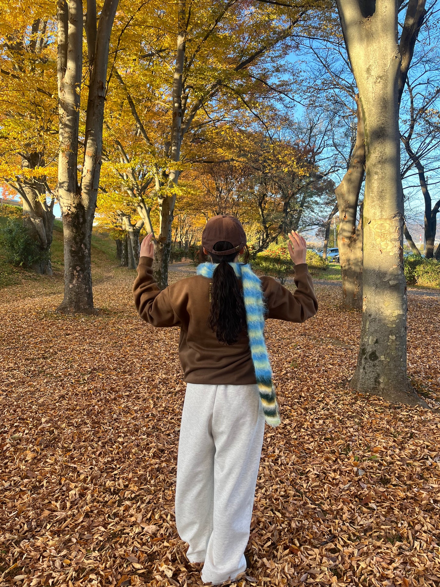 ボーダージャガーマフラー DPB84274