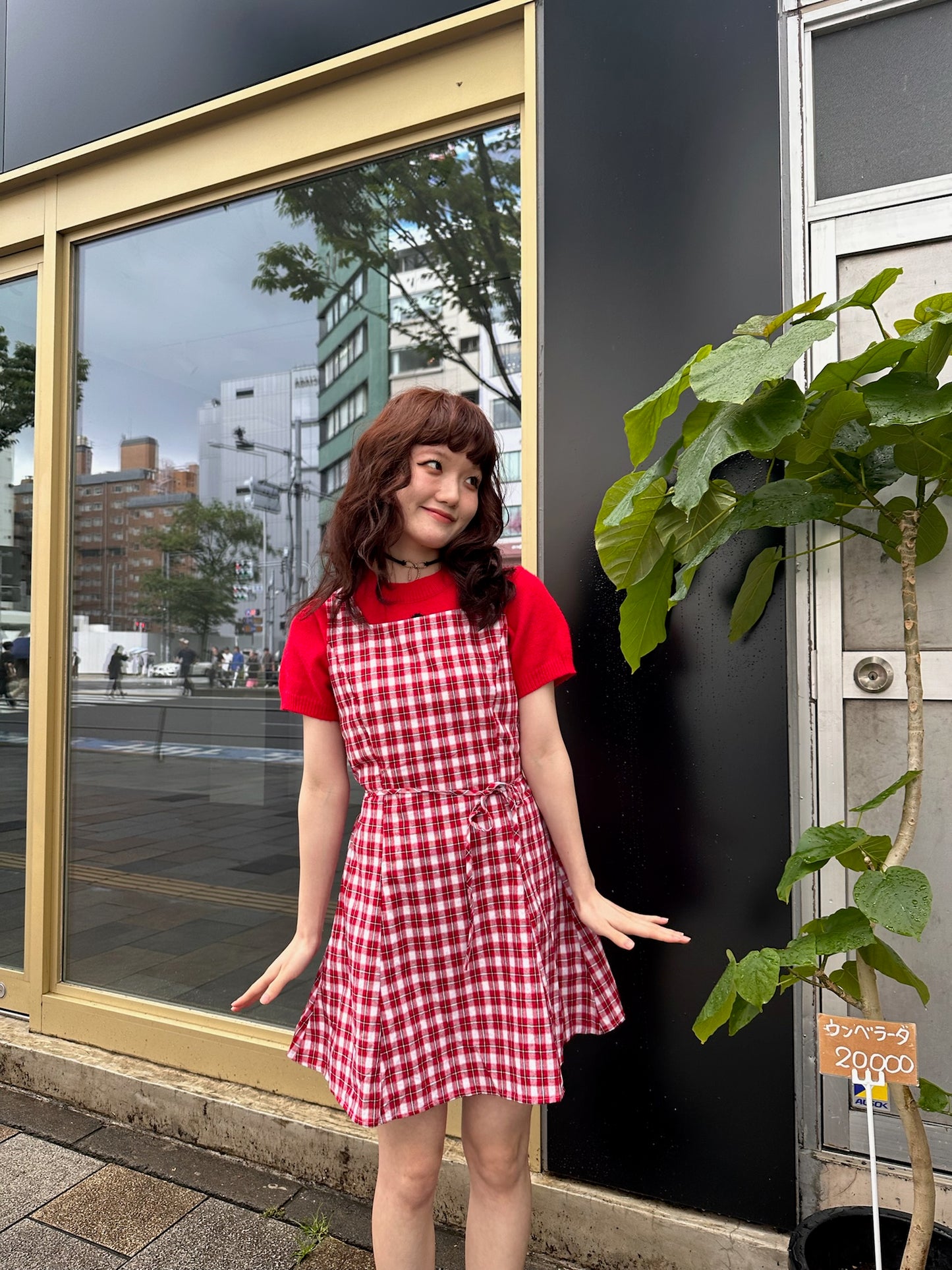 レッドチェックレトロワンピース DPA43363