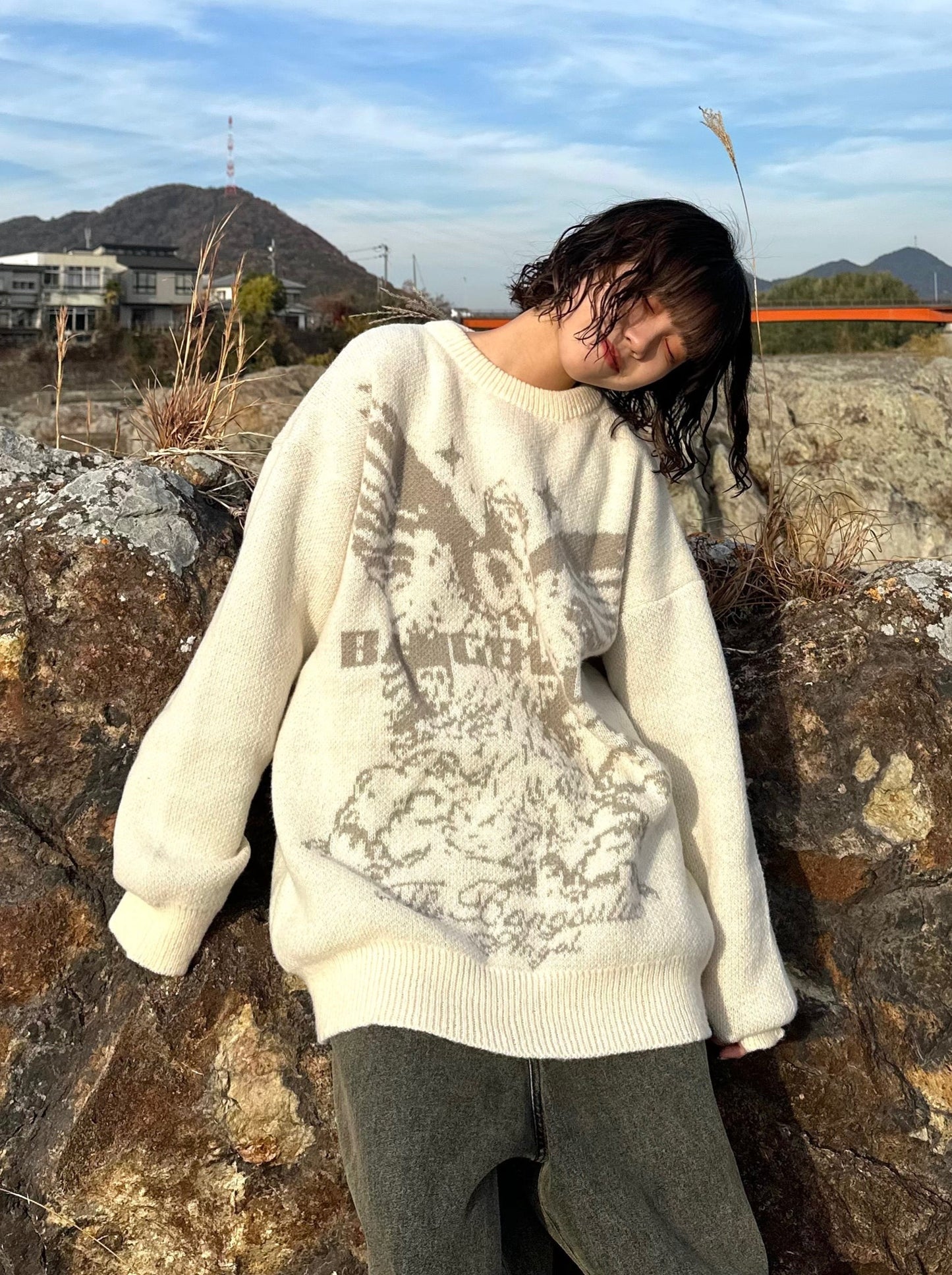 ラウンドネックニット DPB70005