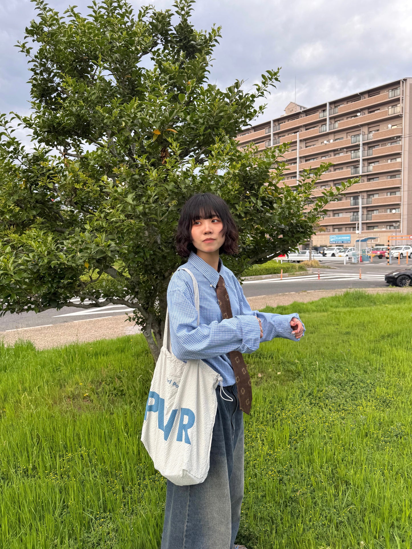 ビッグロゴナイロントートバッグ DPB70152