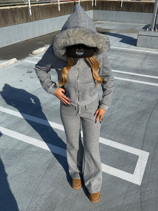 ファージップセットアップ DPB73544