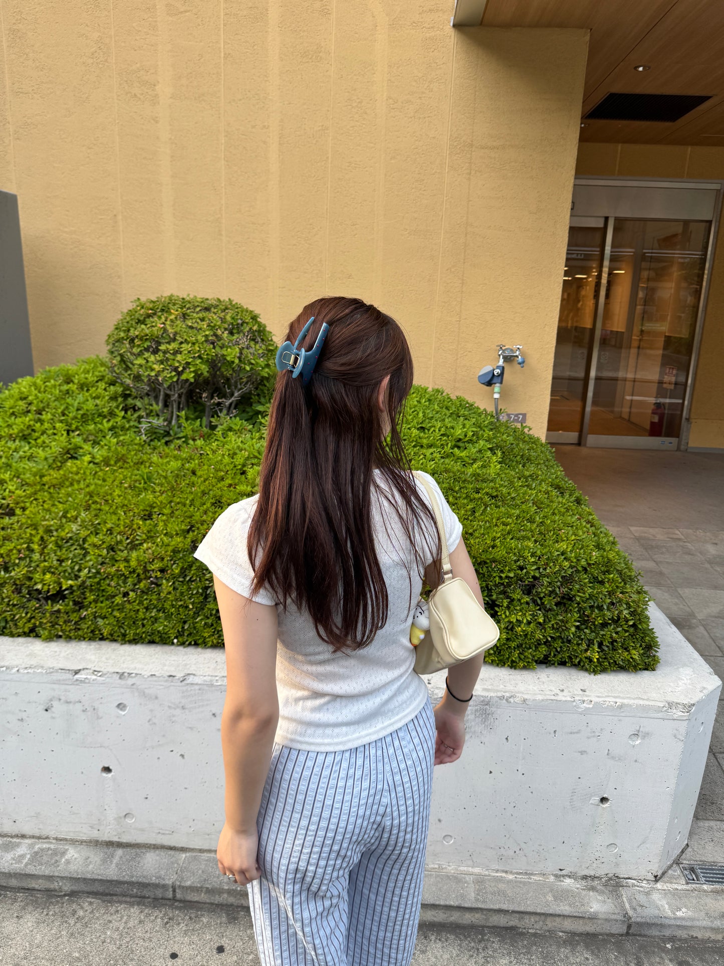 ドットヘアクリップ DPB78185