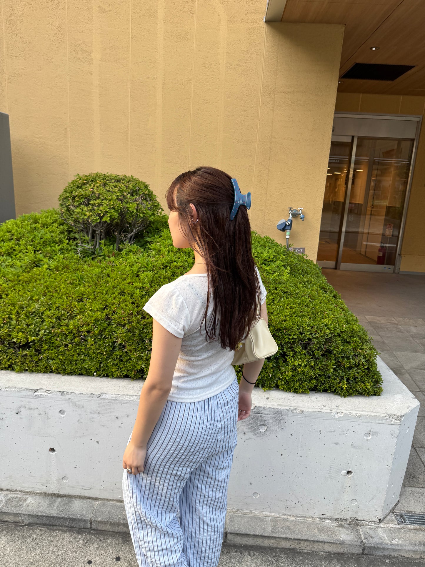 ドットヘアクリップ DPB78185