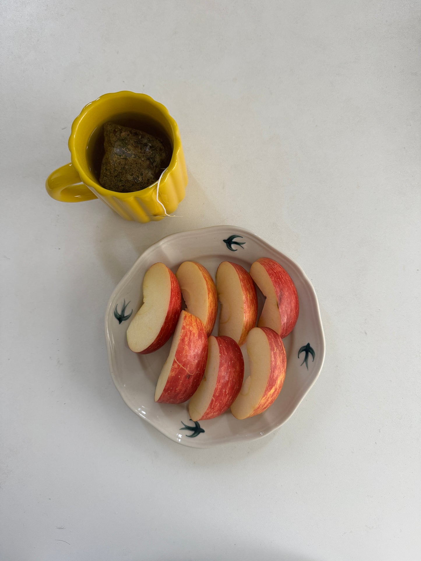 バードサークルプレート DPB78104