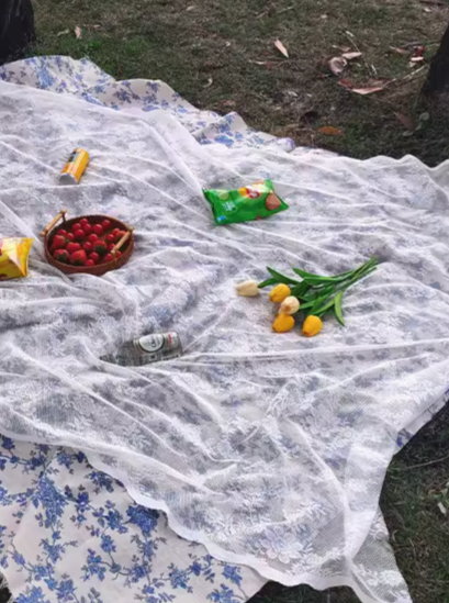 フレンチレジャーシート CPA44038