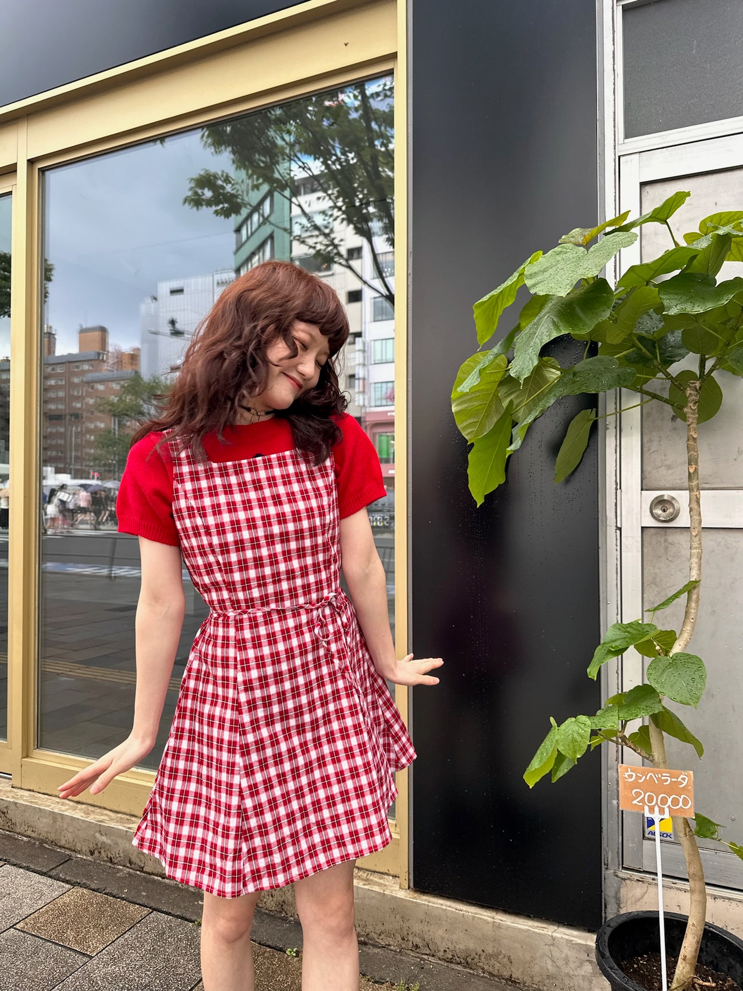 レッドチェックレトロワンピース DPA43363