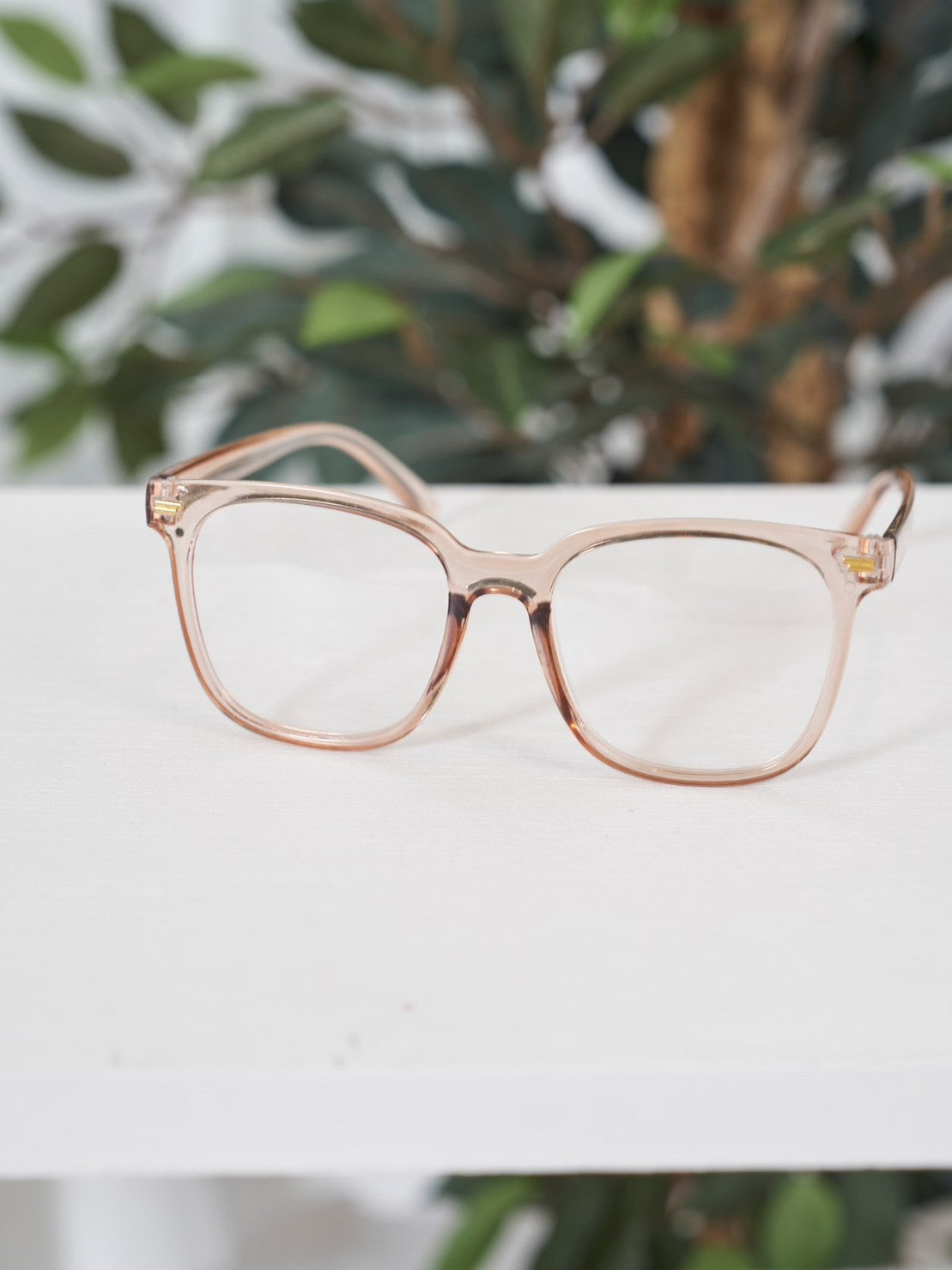 クリアベージュサングラス CPA14077