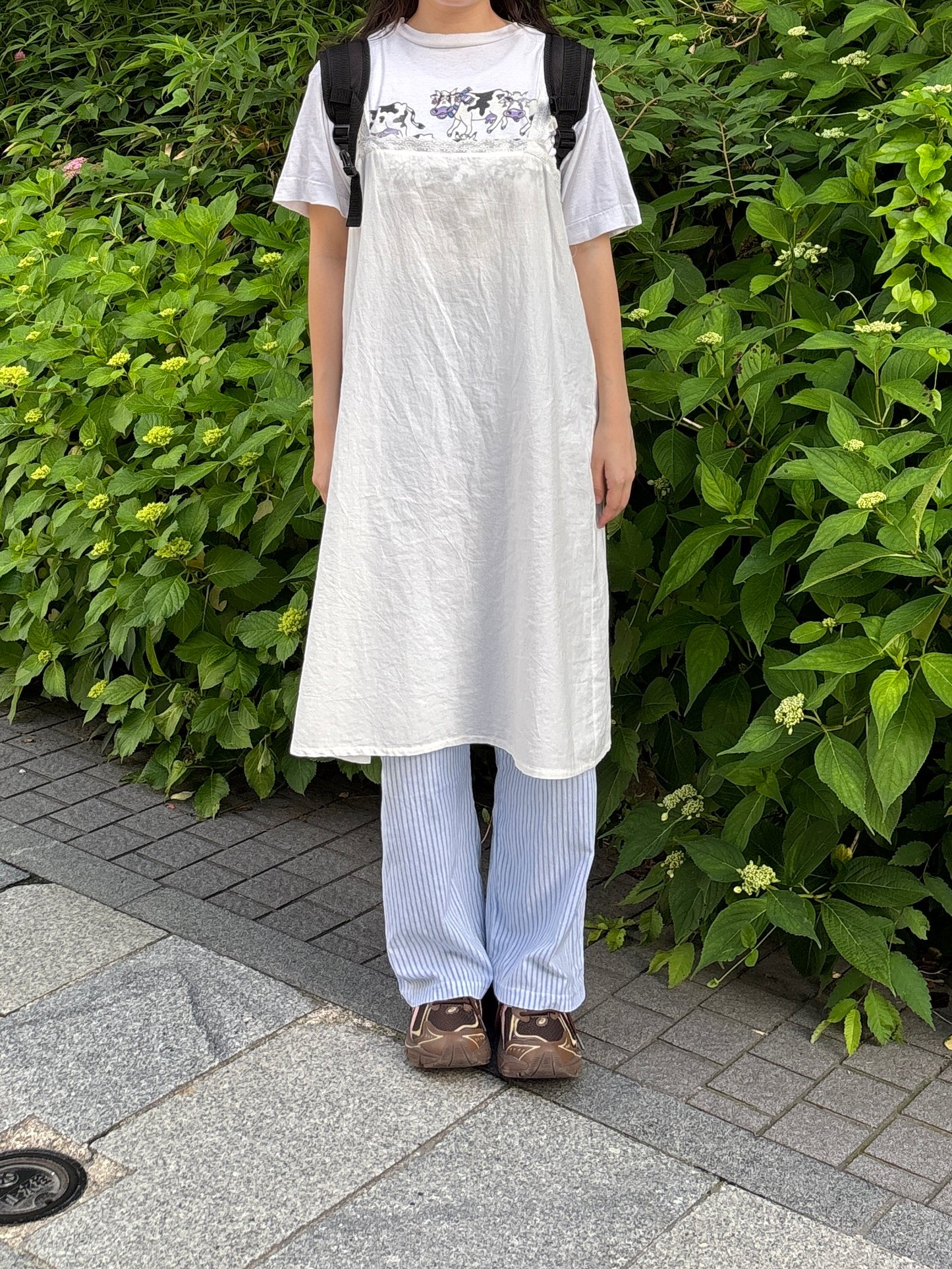ストレートストライプパンツ DPB84180