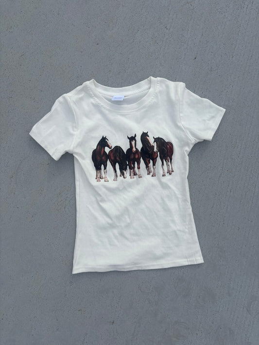 ホースTシャツ DPC04067