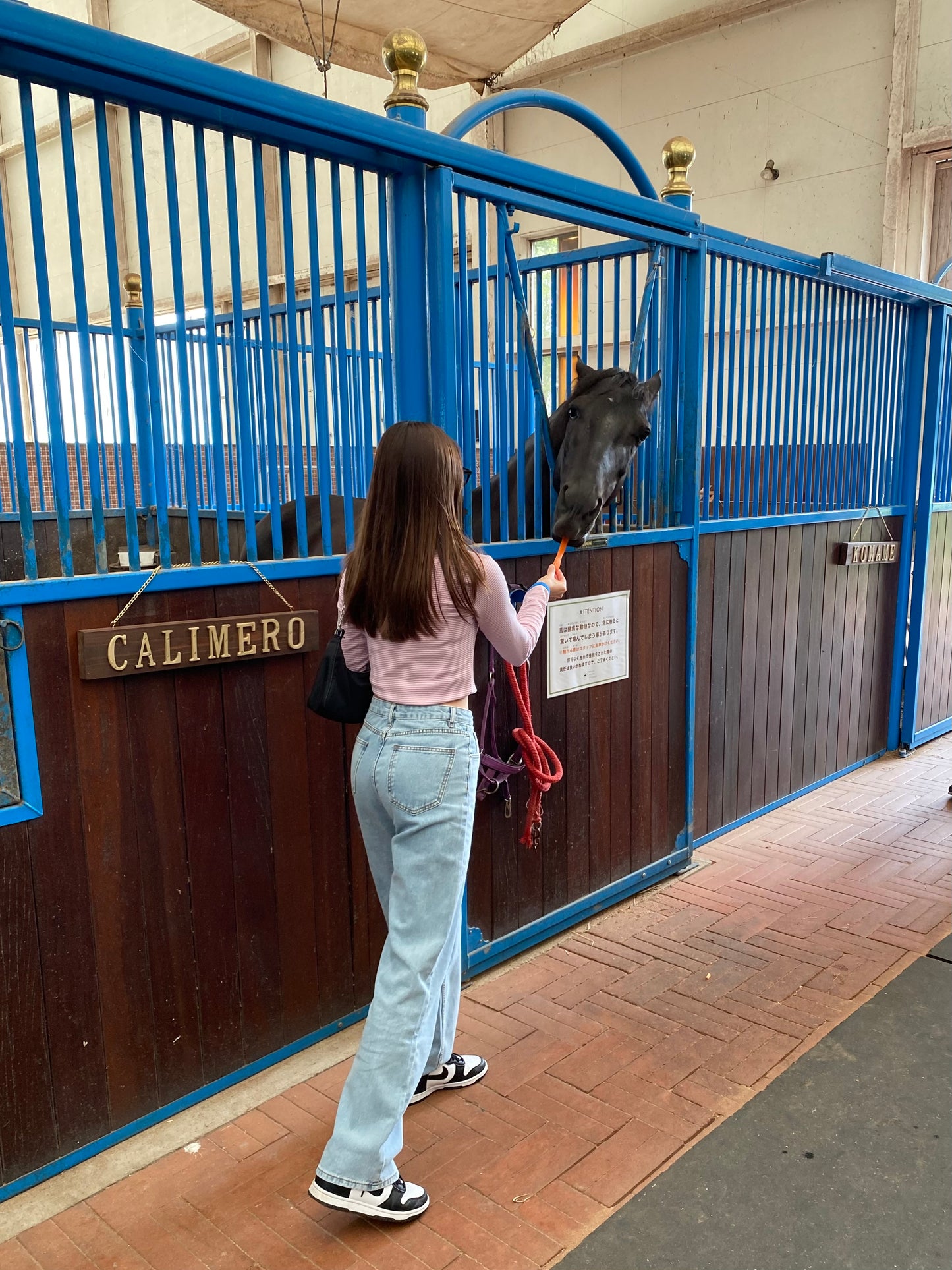 ボーダーロングTシャツ DPA30267