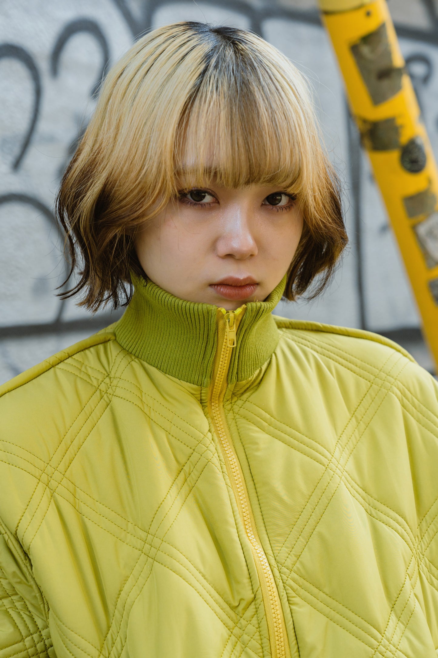 キルティングブルゾン DPA20198