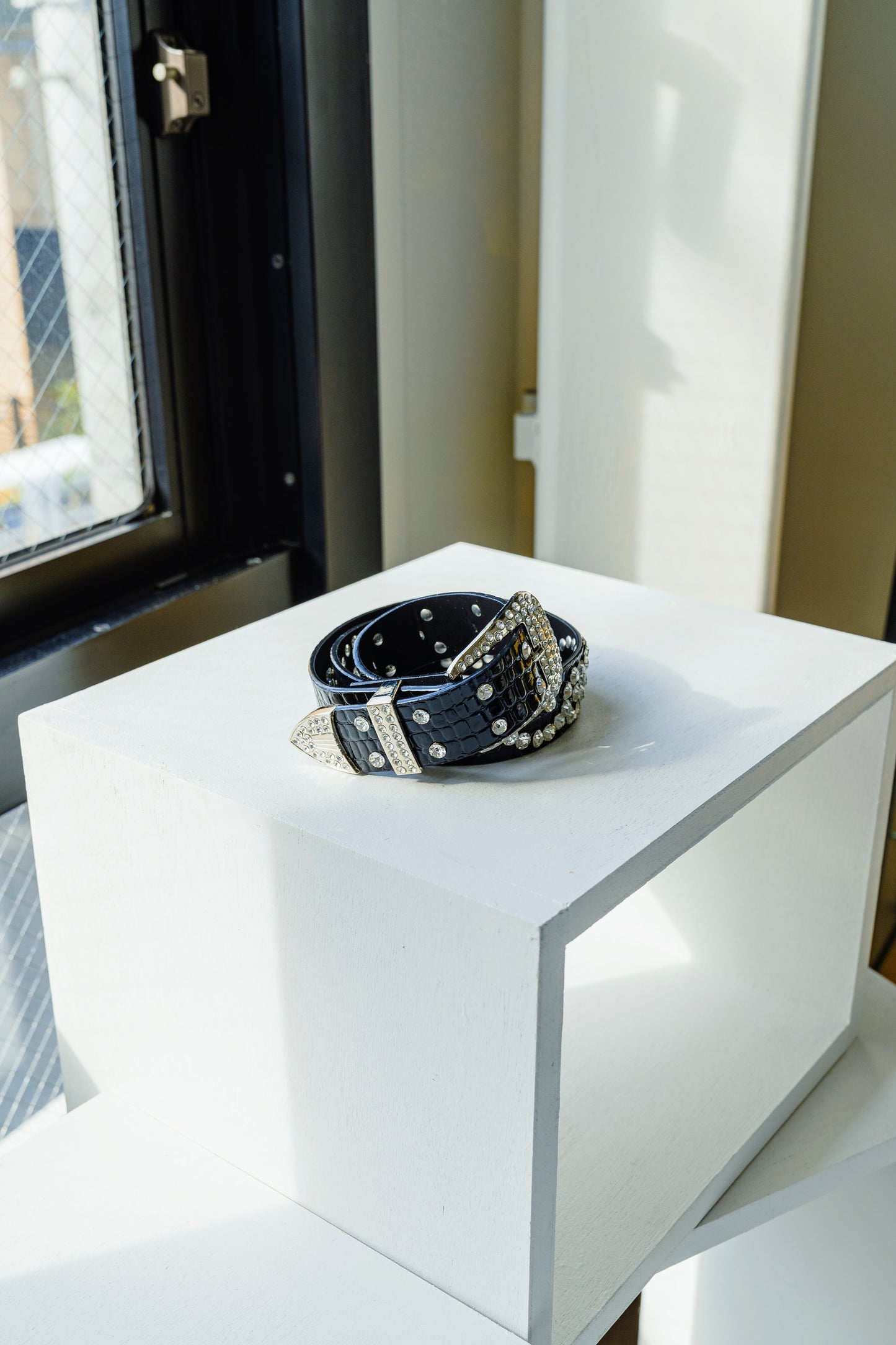 バックルベルト DPA20108