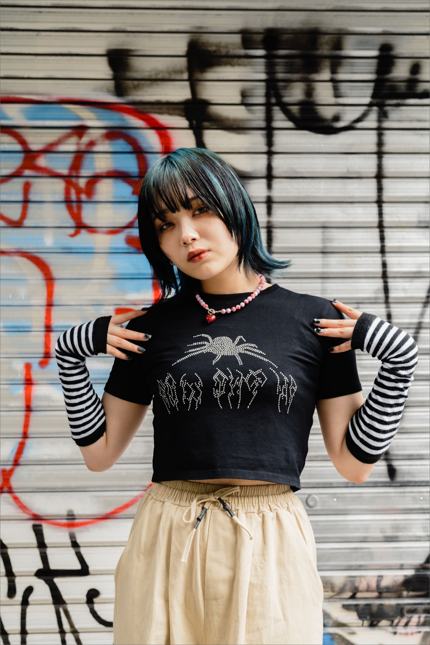 ラメスパイダーT DPA20081