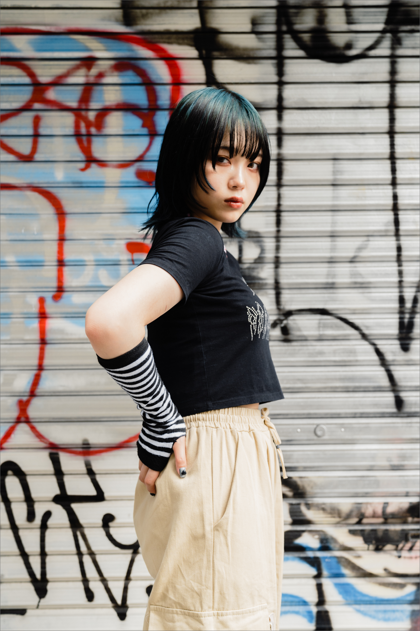 ラメスパイダーT DPA20081