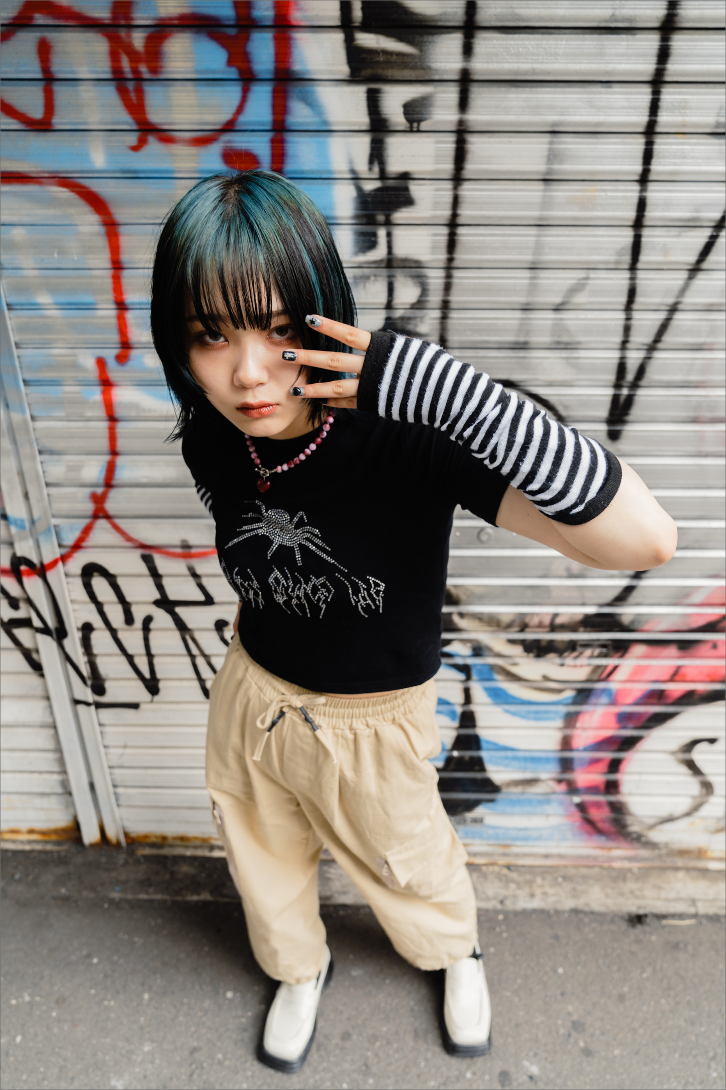 ラメスパイダーT DPA20081
