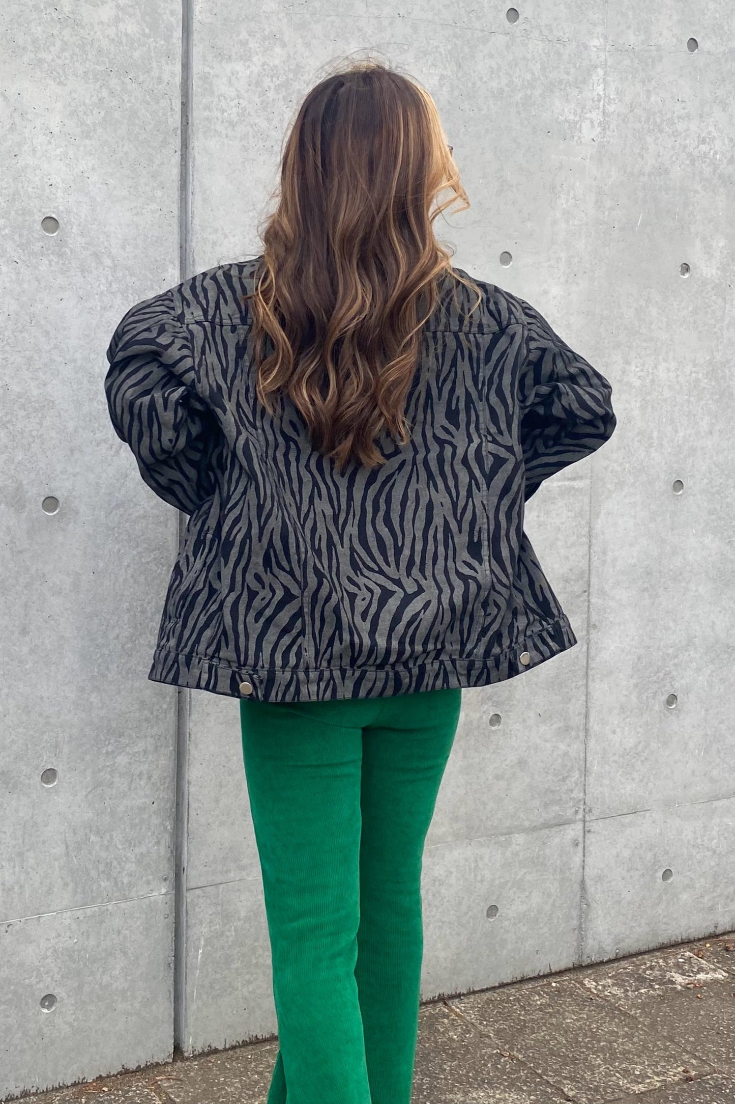 ゼブラコットンジャケット DPA41010