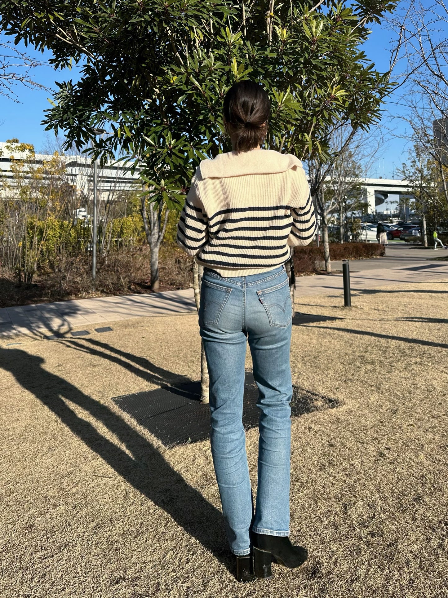 ボーダージップニット DPB47031