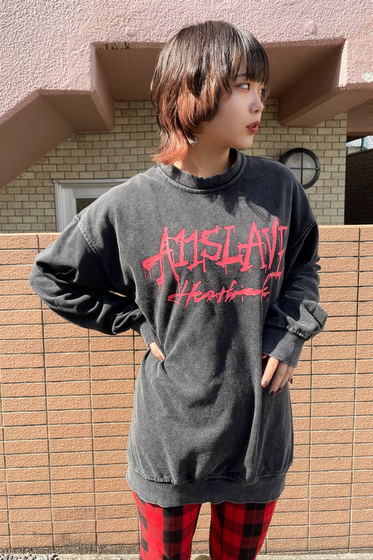 ロゴダメージトレーナー DPA20009