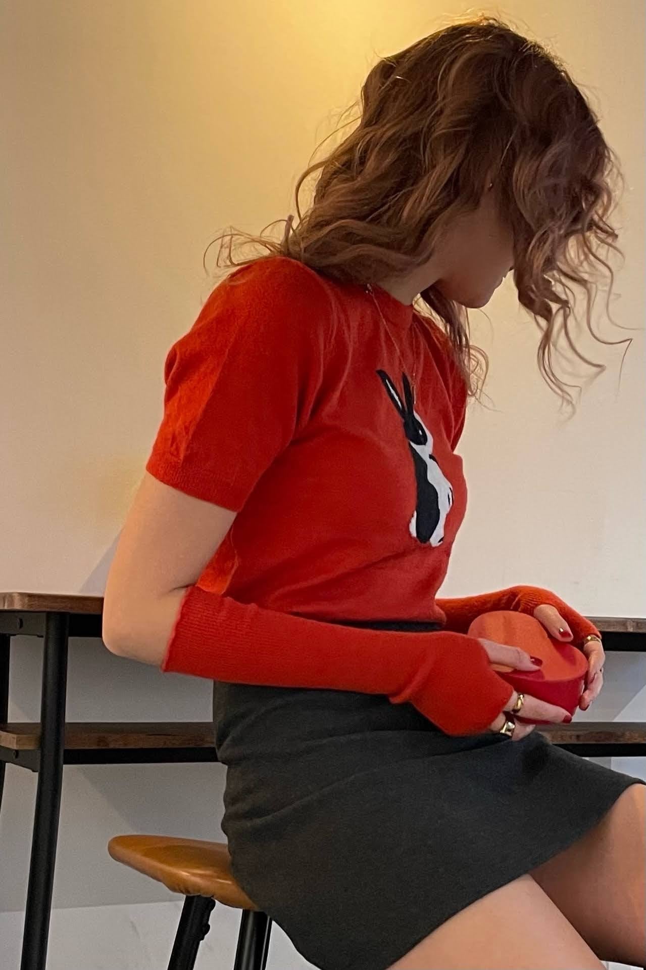 ラビットアームウォーマーニット DPA17045