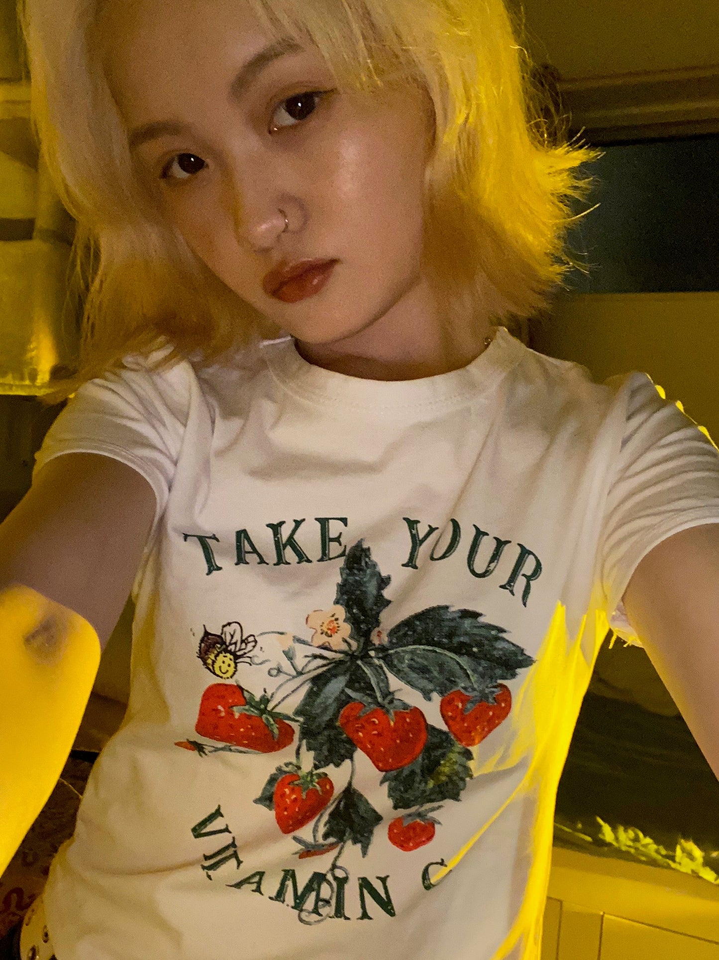 レトロストローベリーTシャツ DPA01049