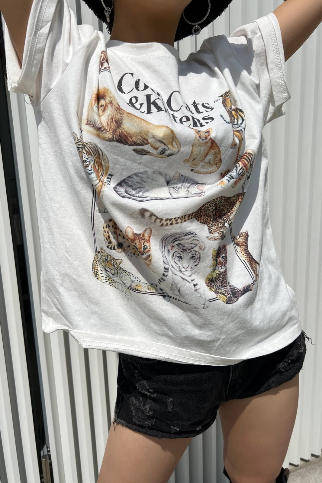 ビンテージキャットTシャツ DPA03203