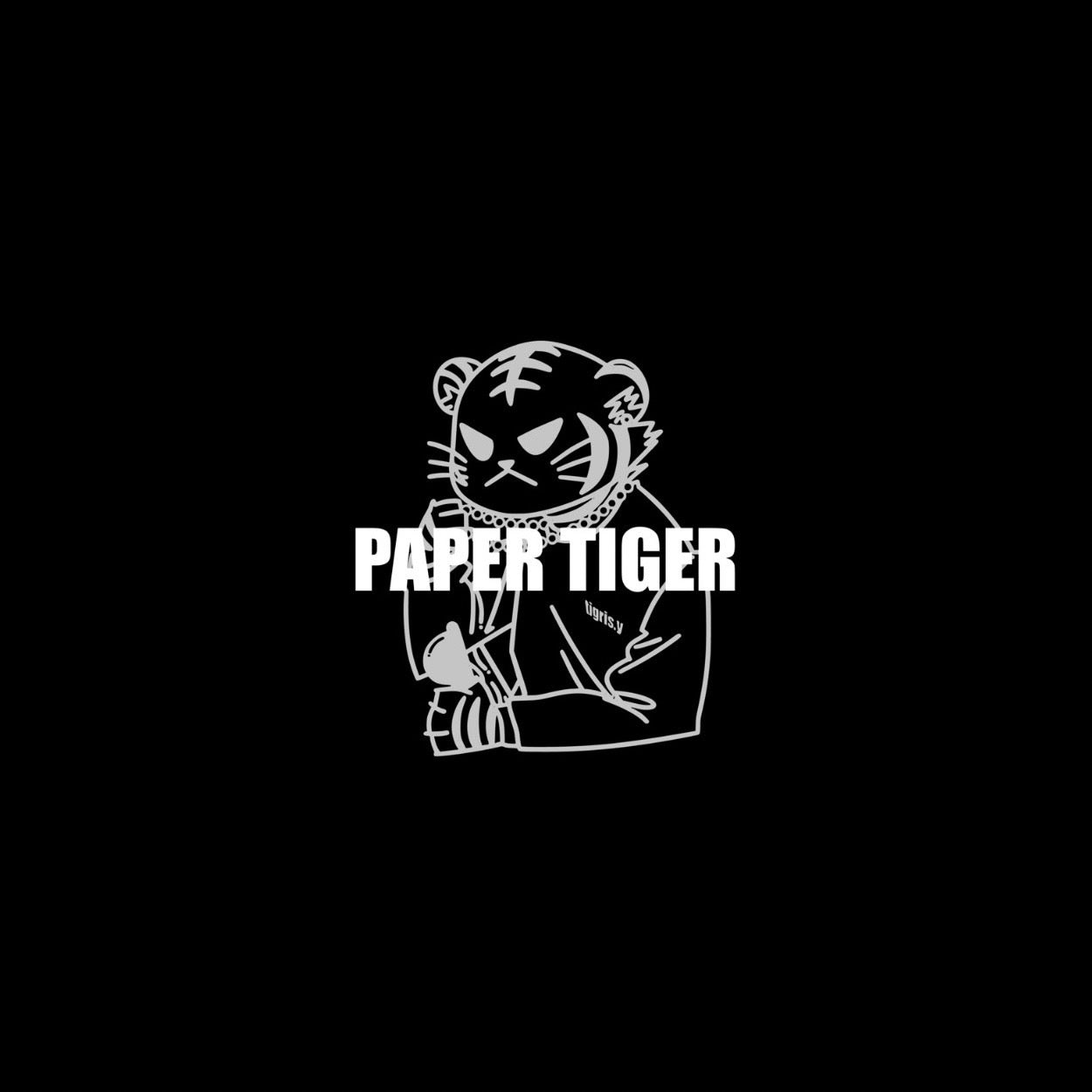 「paper tiger」TaigaYamamoto