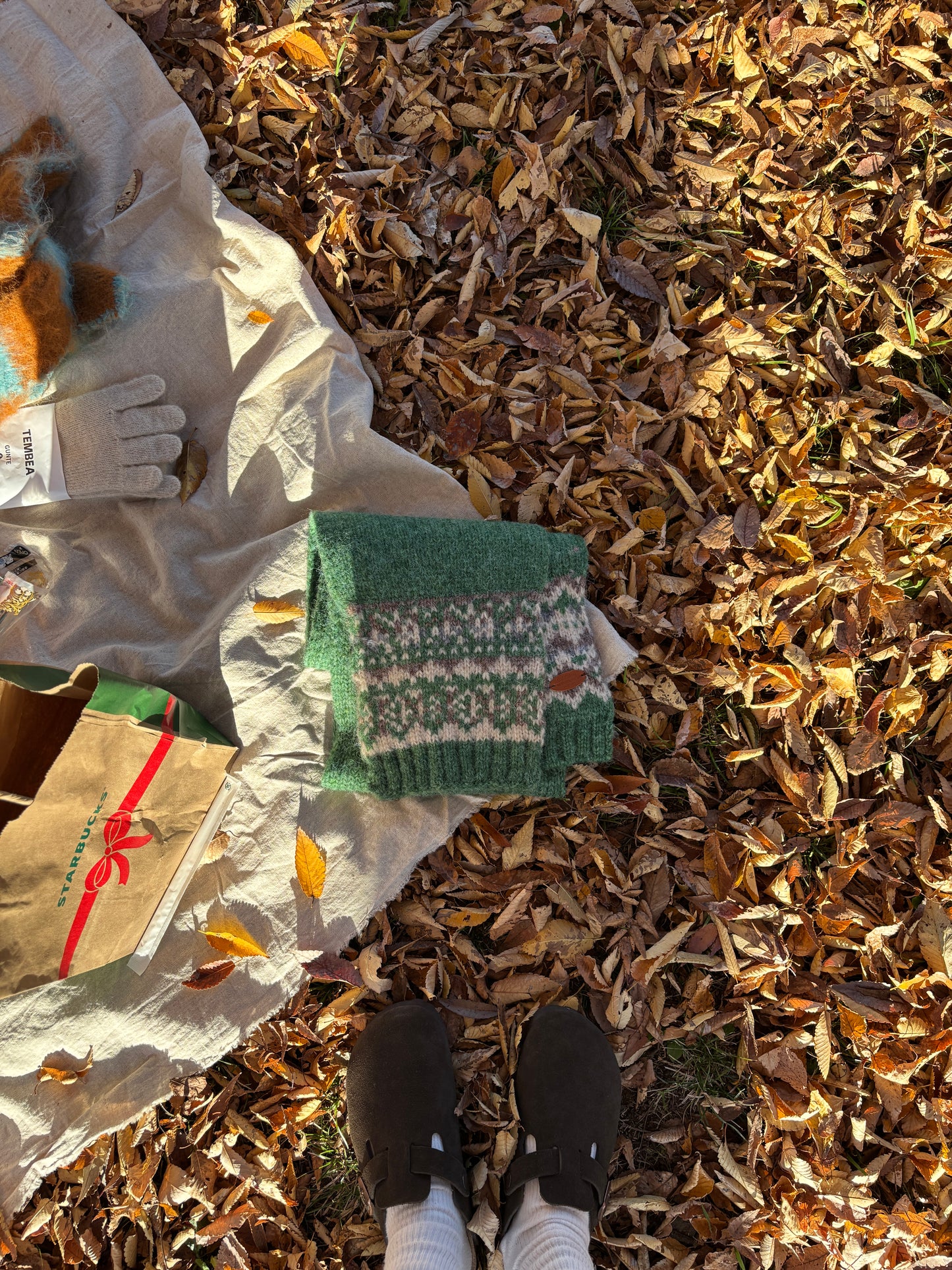 ノルディックマフラー DPB84267