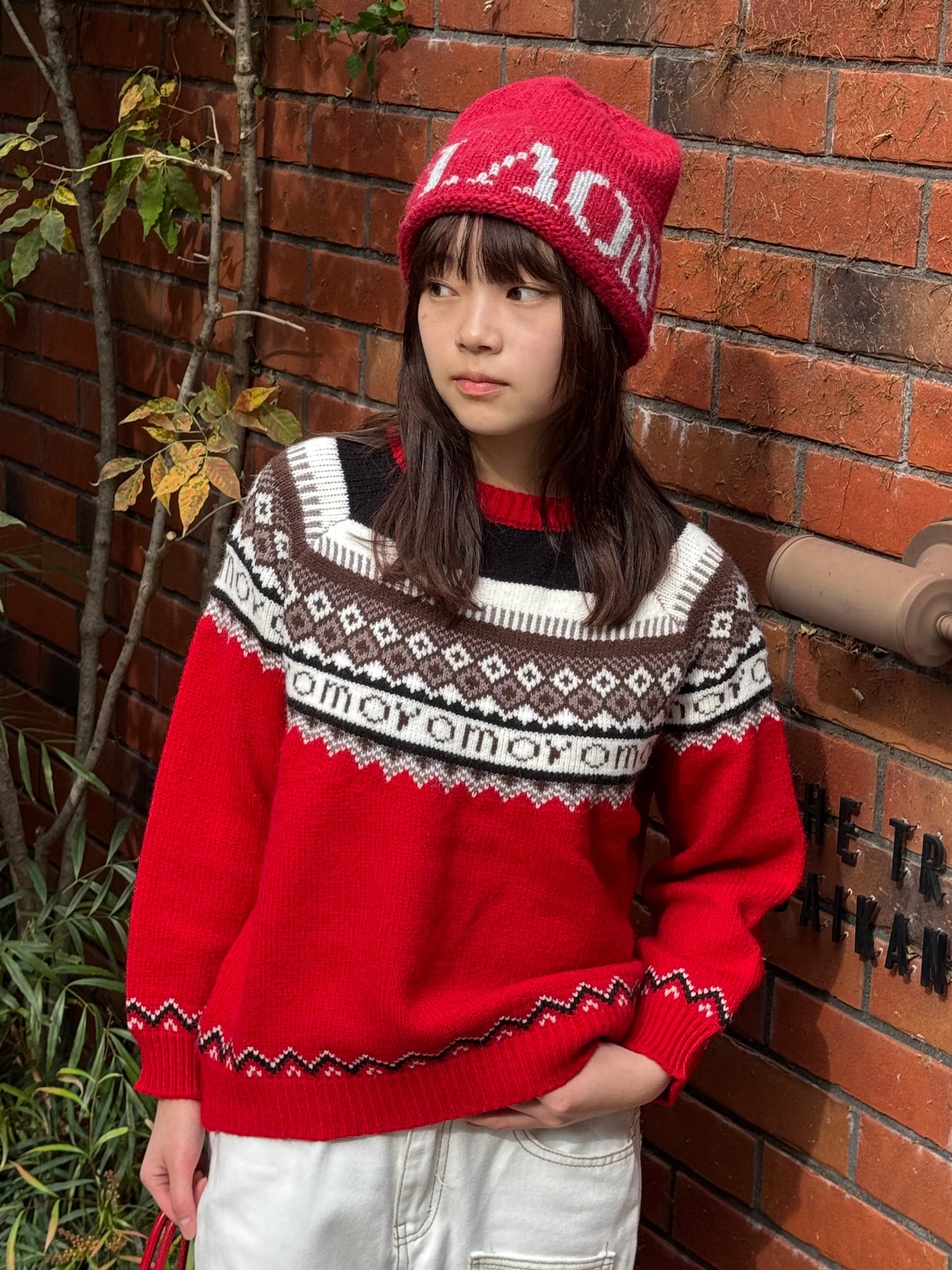 ノルディック柄ニットプルオーバー DPB91055