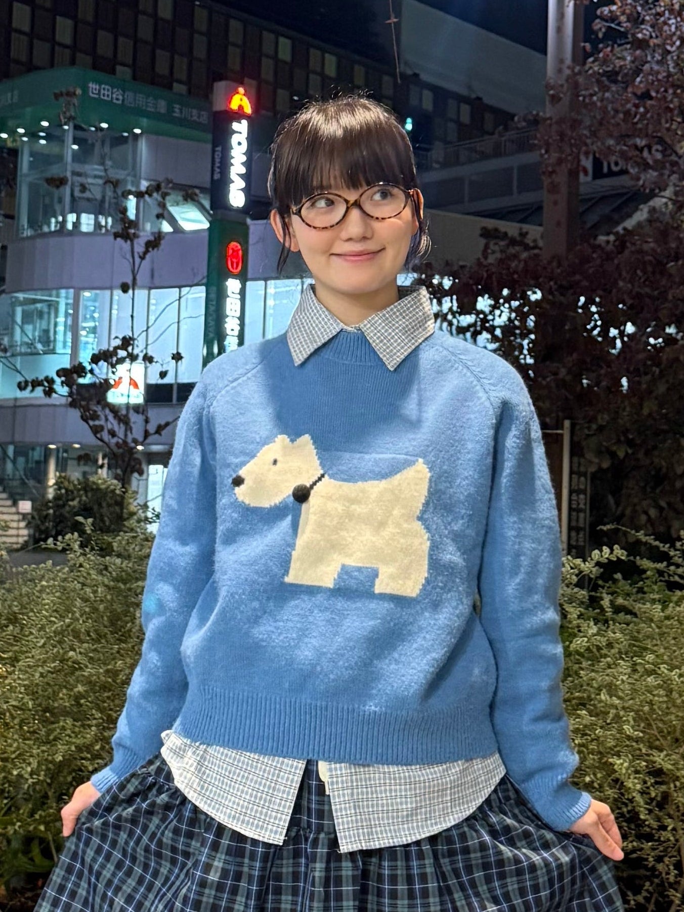 ドッグブルーニット DPA43674