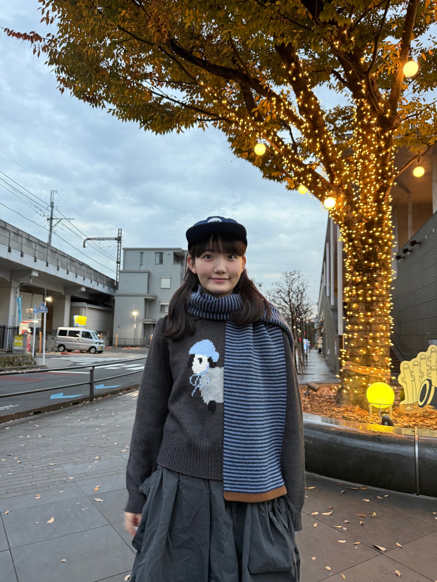 シープステッチカラーニット DPA43717