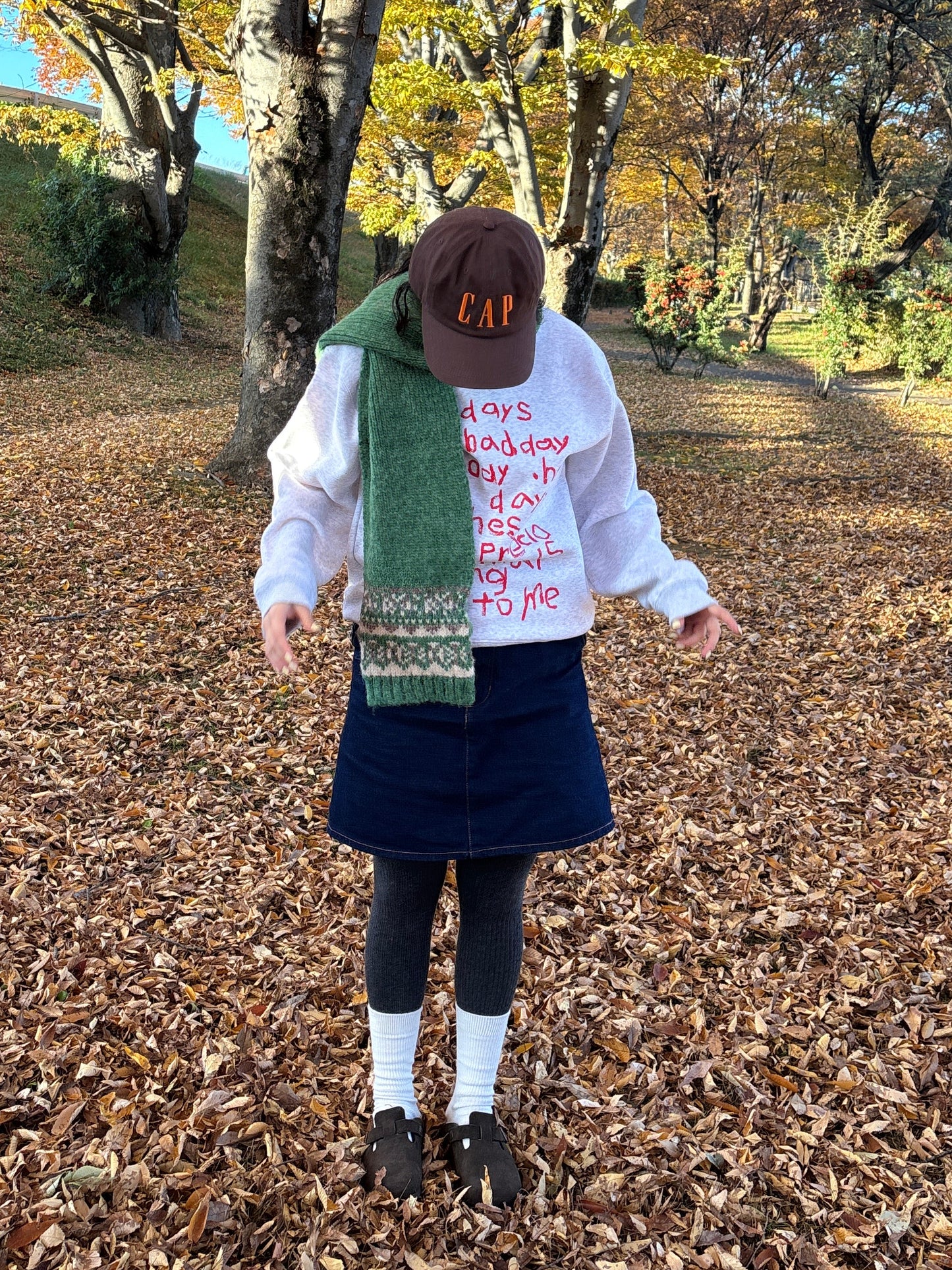 ノルディックマフラー DPB84267