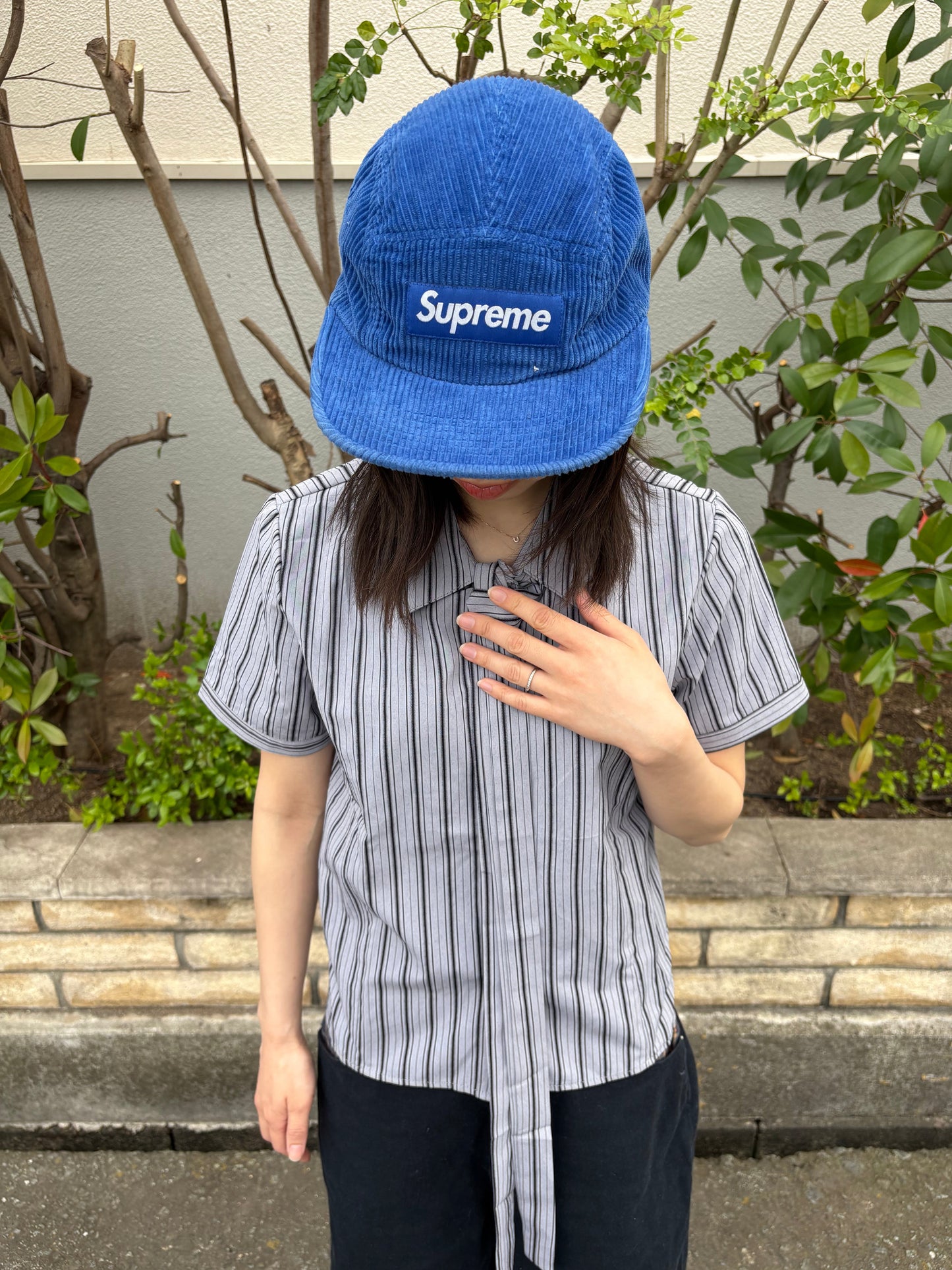 ストライプネクタイシャツ DPB99098