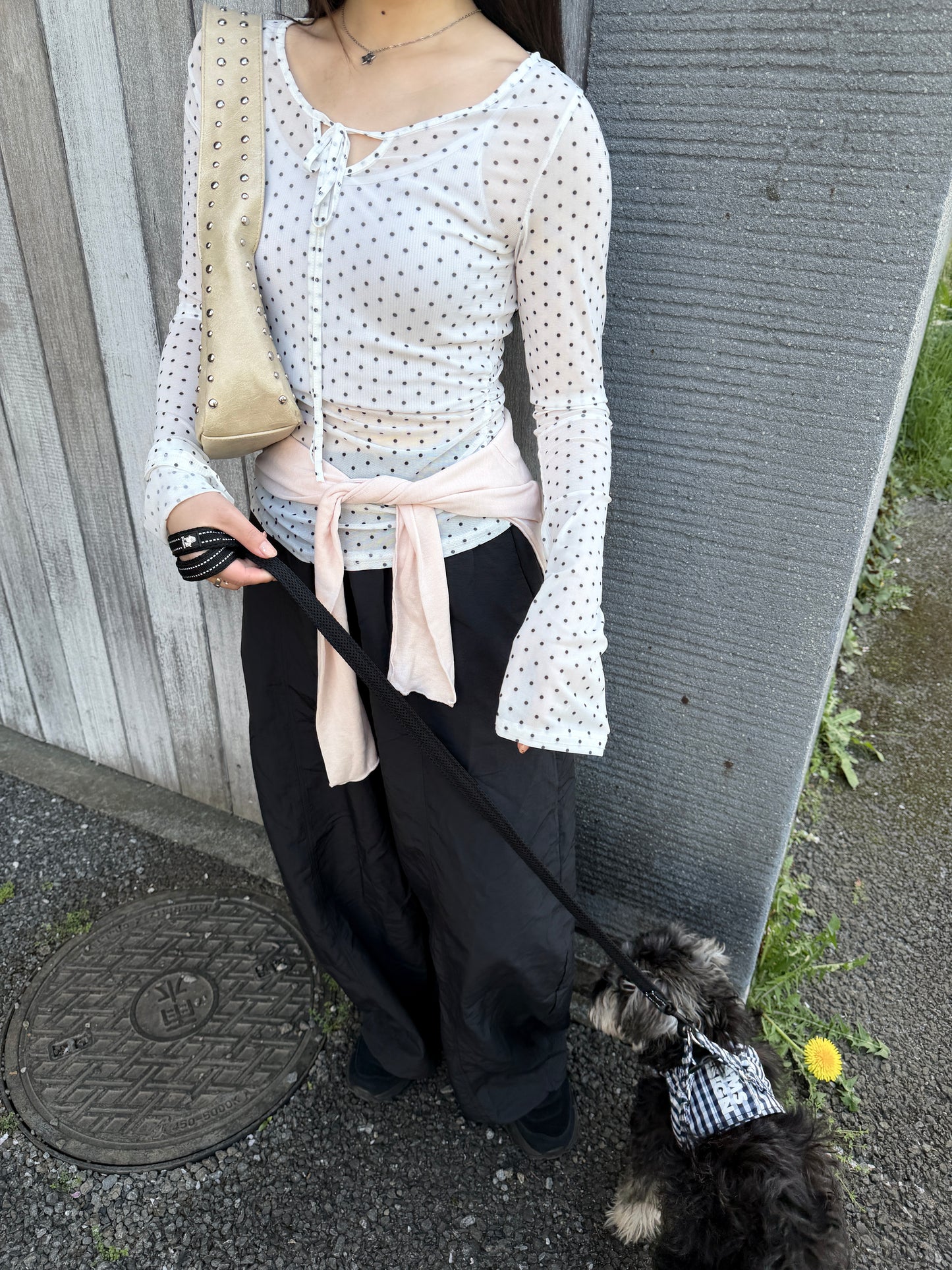 ワイドネックドットシアーロンT DPB78282
