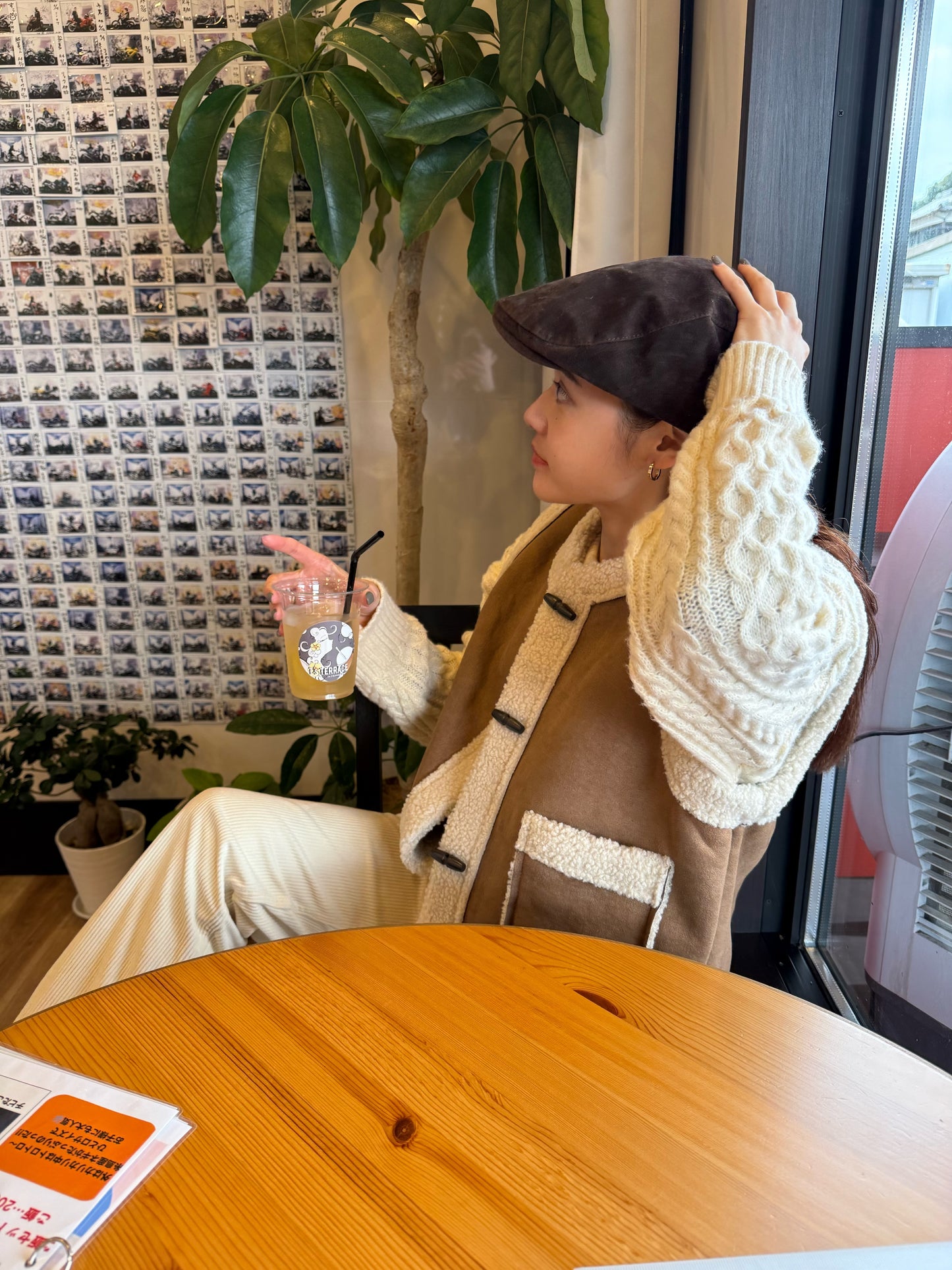 ブラウンファーベスト DPB47490