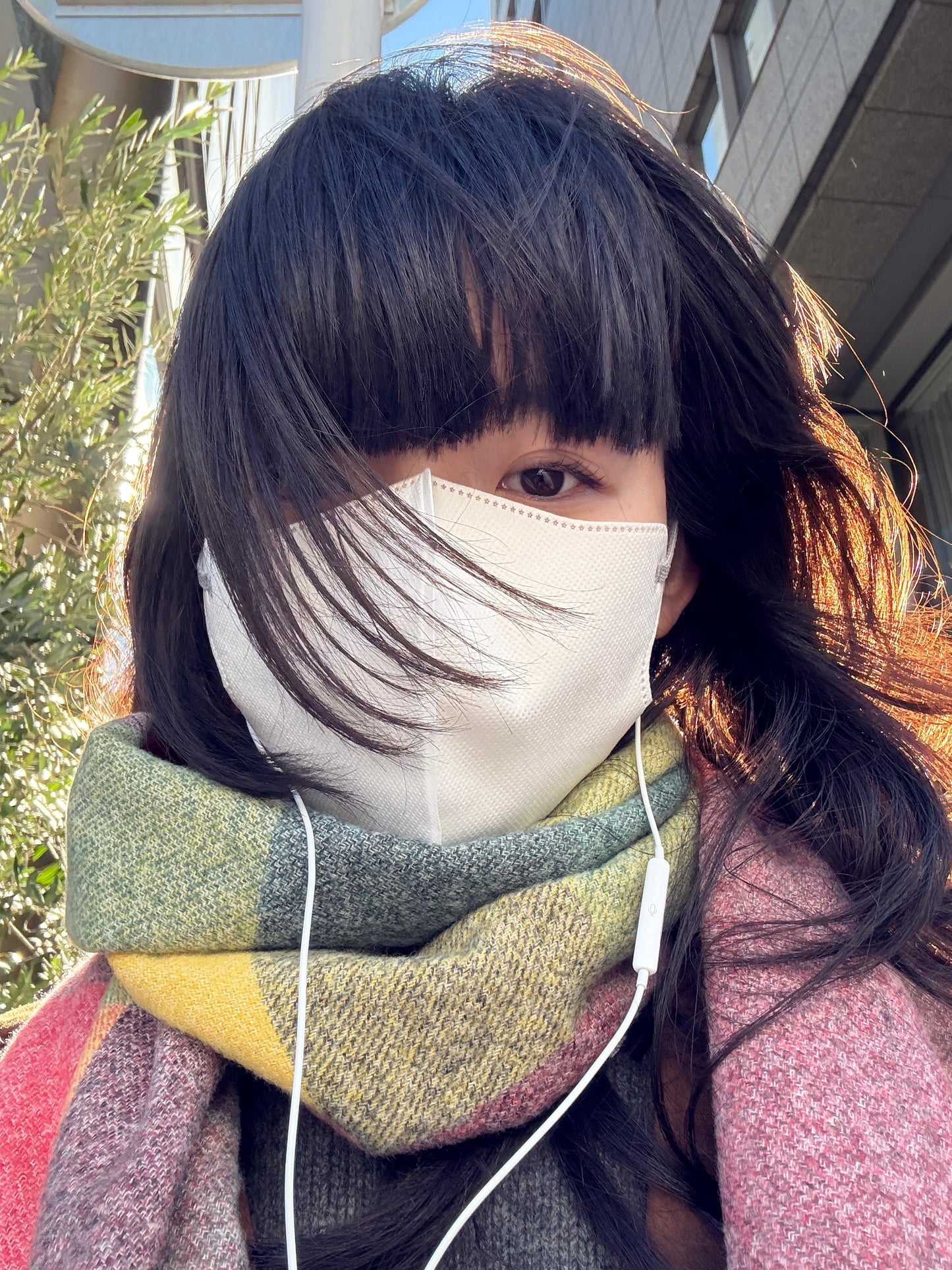 ブロックチェックマフラー DPA43728