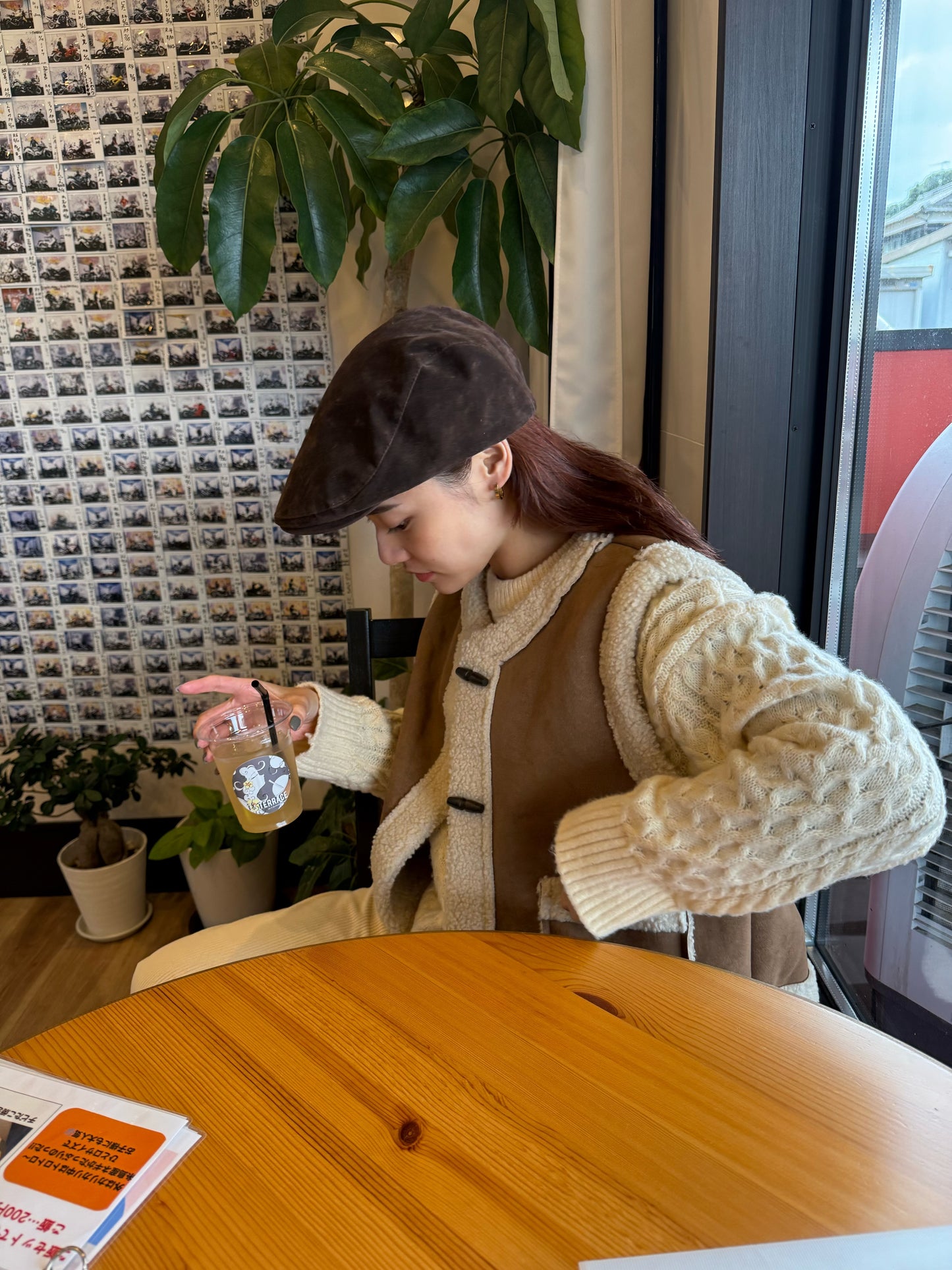 ブラウンファーベスト DPB47490