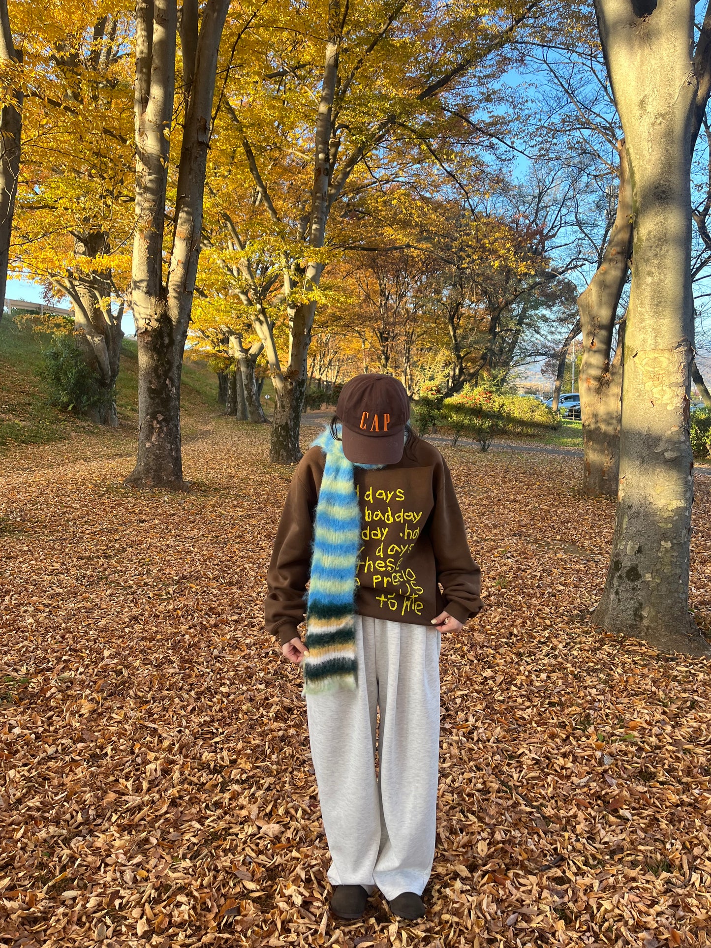 ボーダージャガーマフラー DPB84274