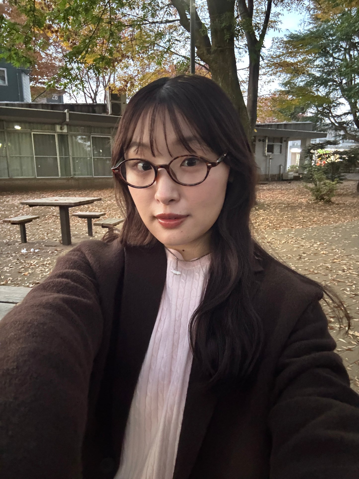 バイカラークリアメガネ DPB78176