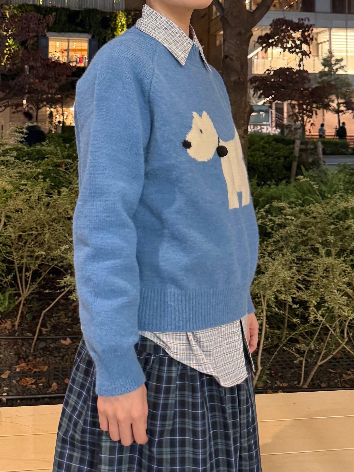 ドッグブルーニット DPA43674