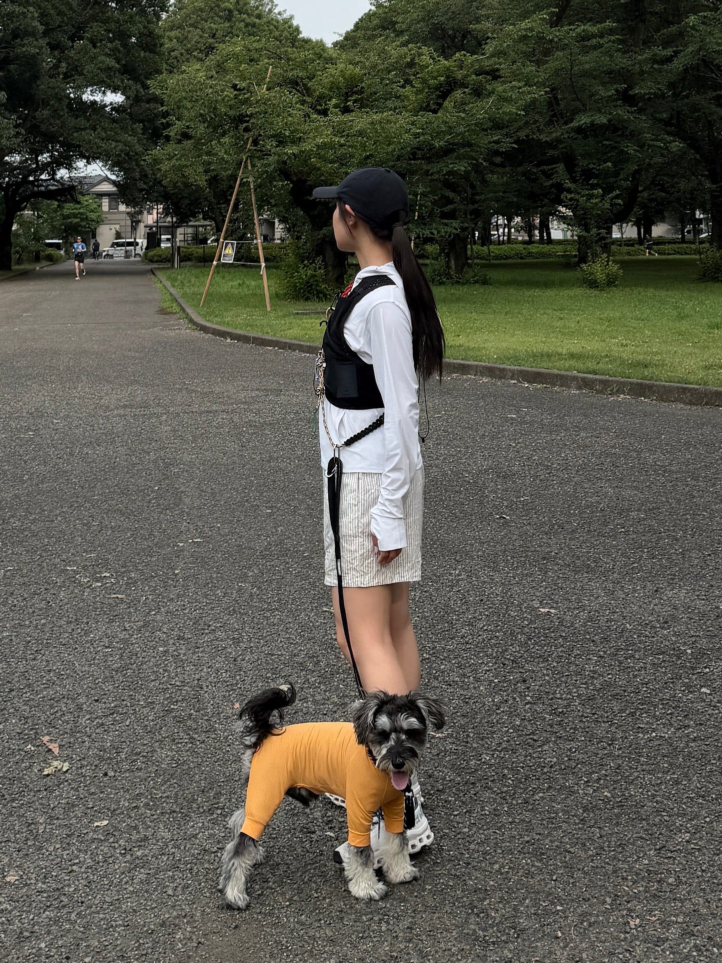 リボンストライプハーフパンツ DPB78291