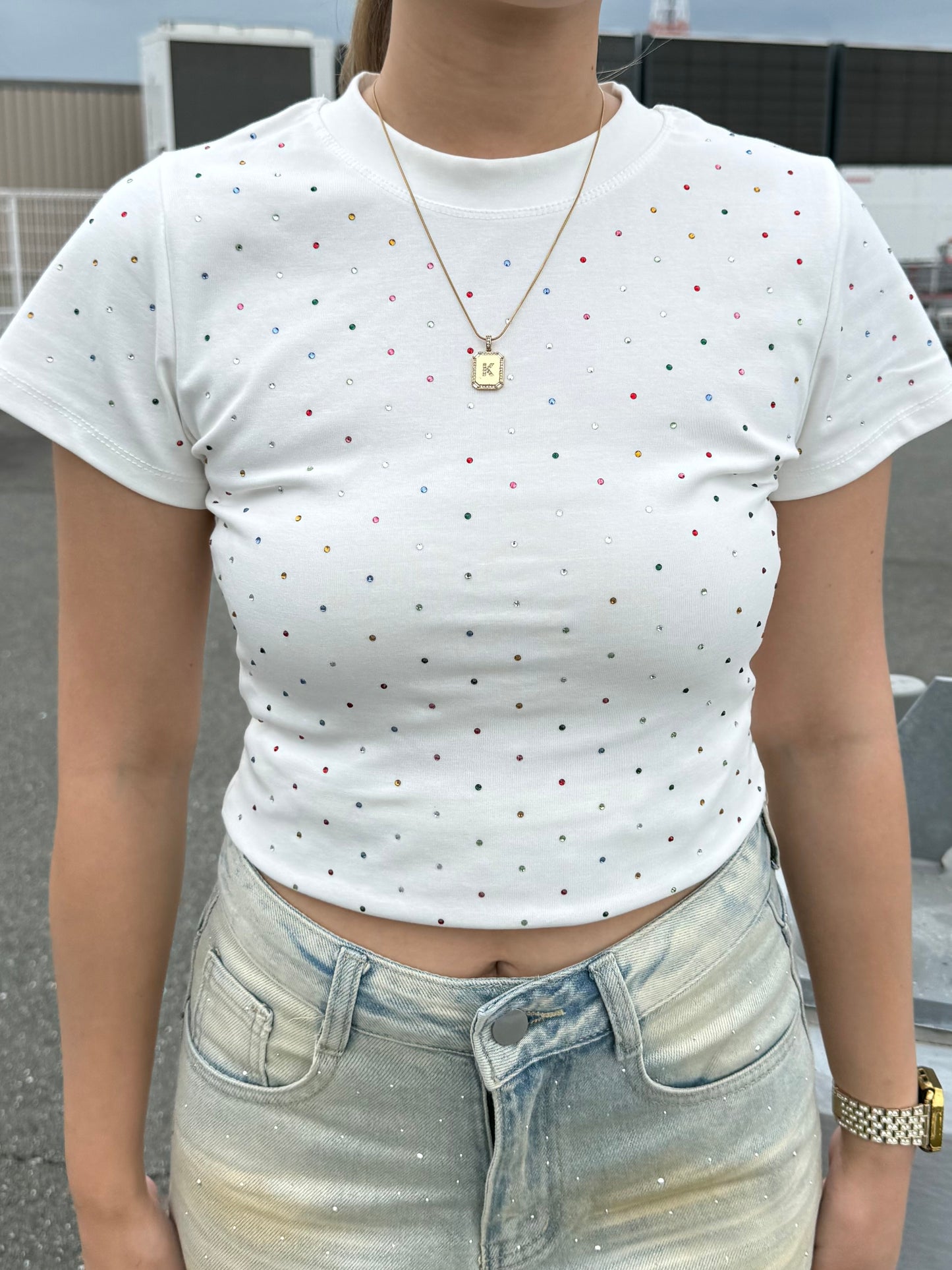 ストーンTシャツ DPB73667