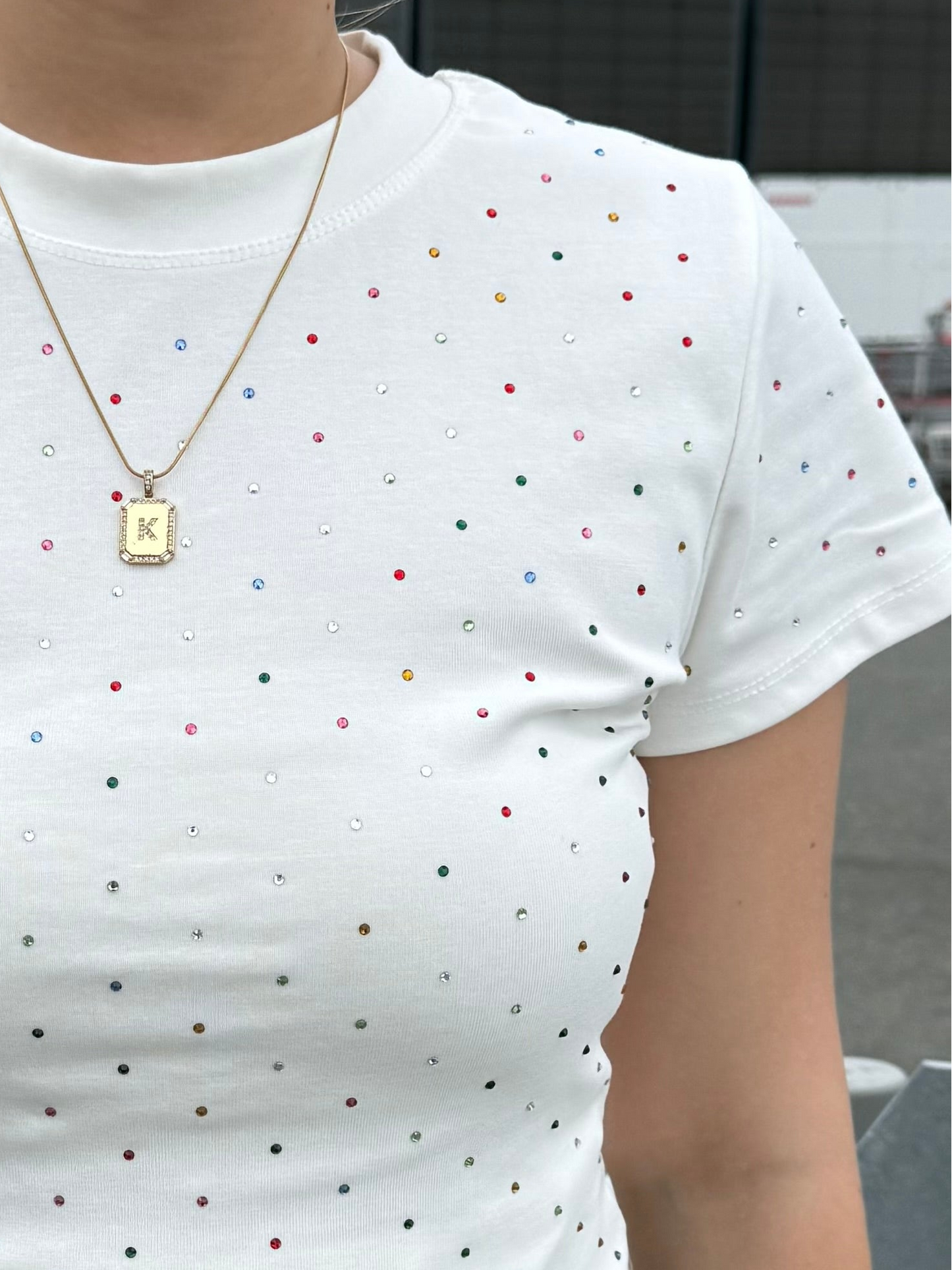 ストーンTシャツ DPB73667