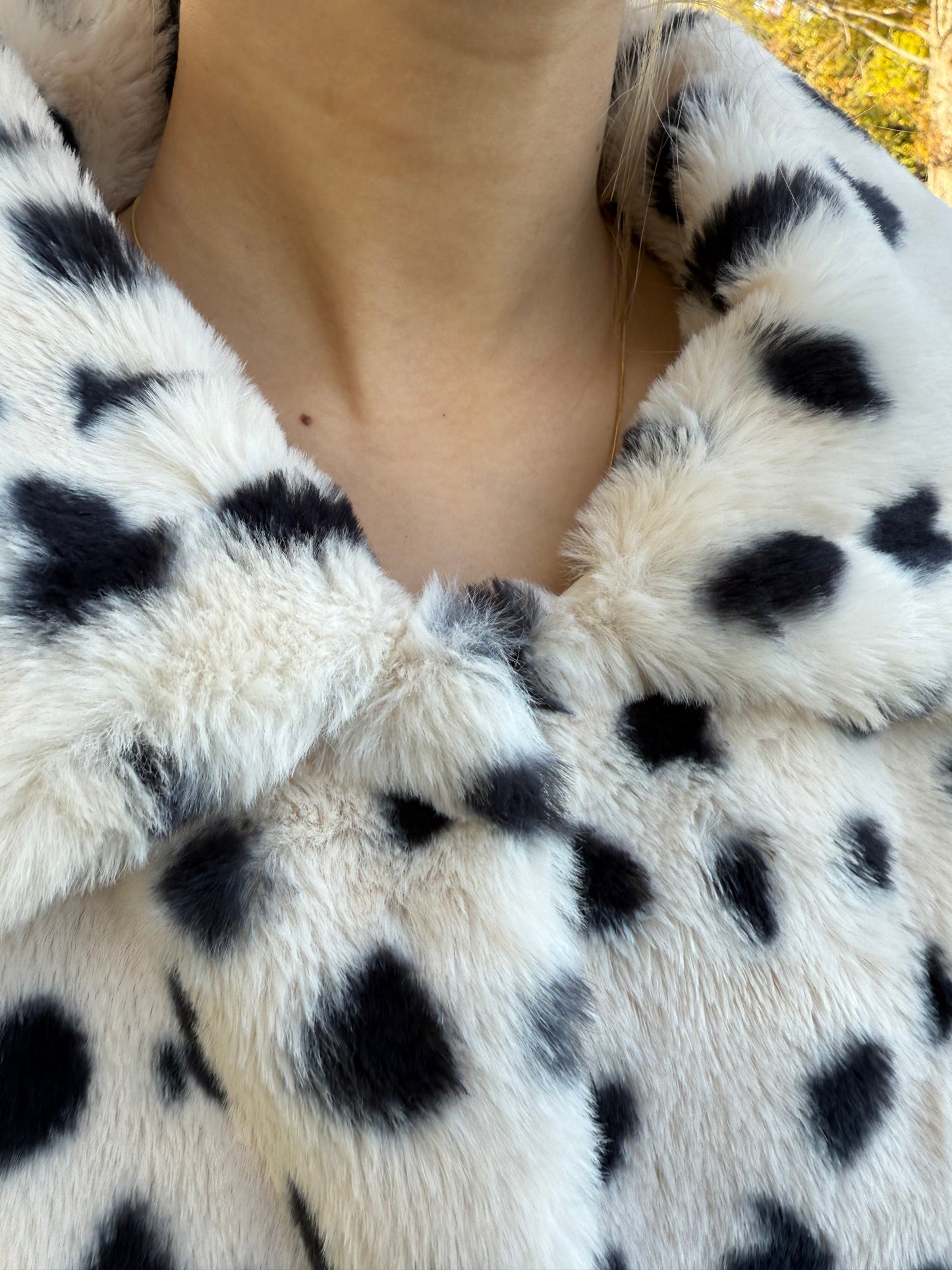 ダルメシアンアウター DPB73519