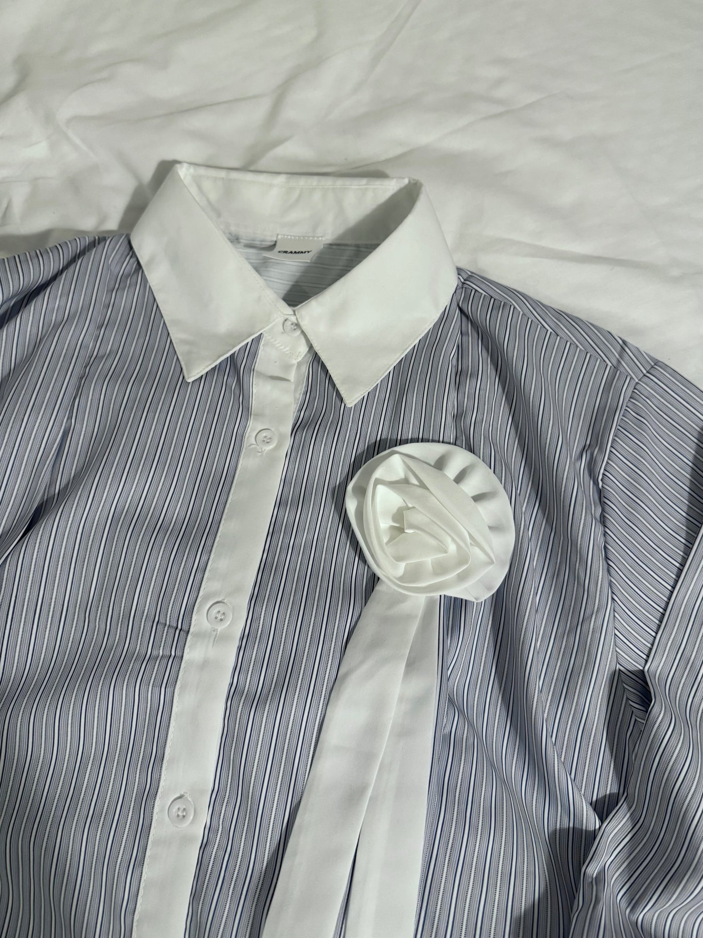 ローズストライプボウタイシャツ DPC03031