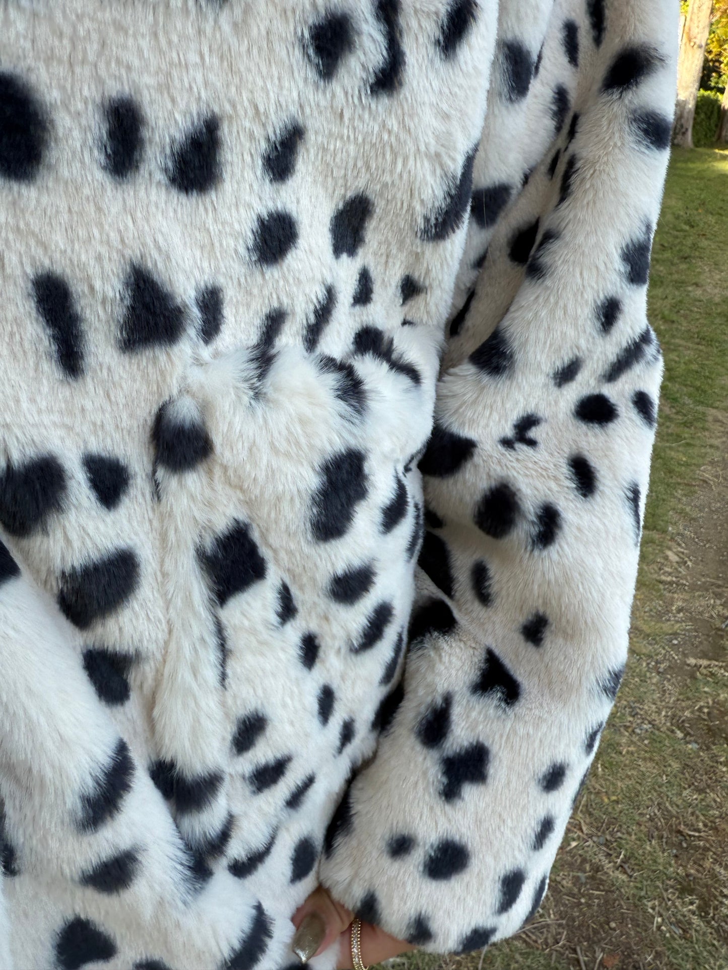 ダルメシアンアウター DPB73519