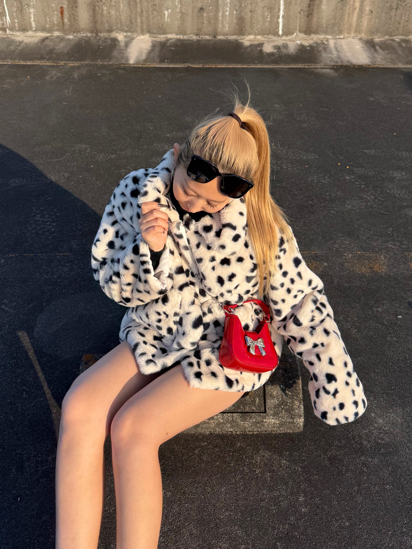 ダルメシアンアウター DPB73519