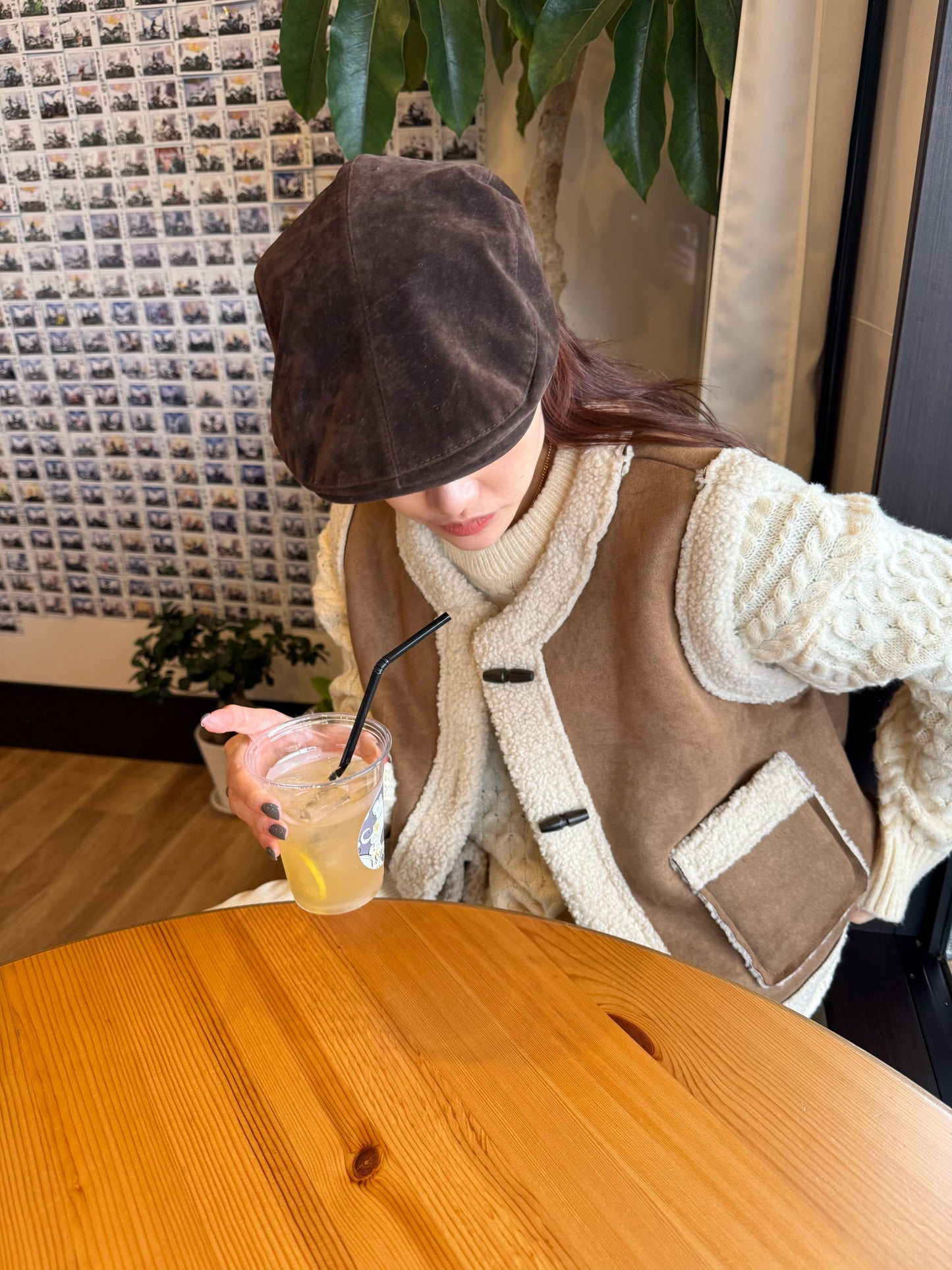 ブラウンファーベスト DPB47490