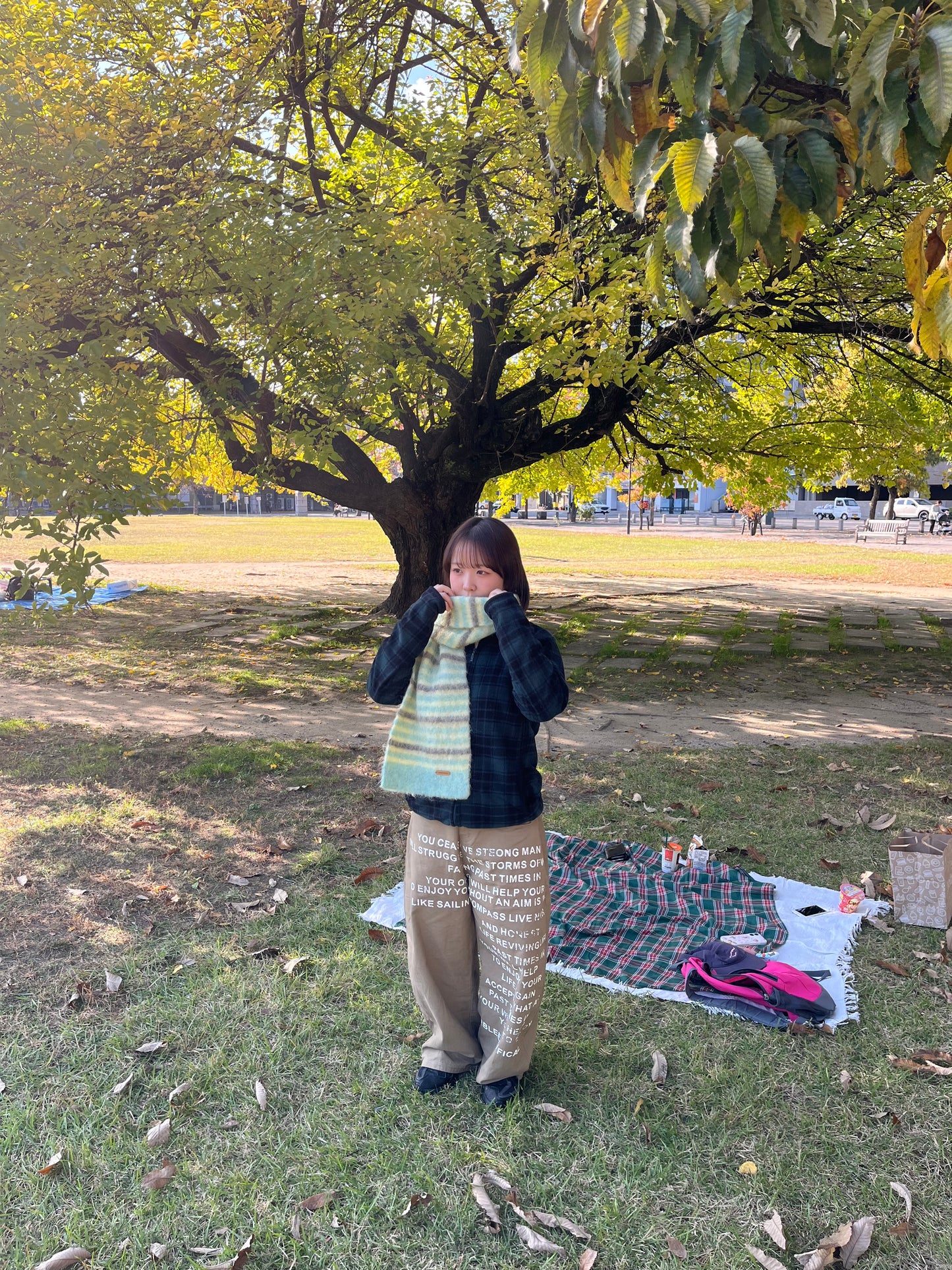 レタリングカーブパンツ DPB97035